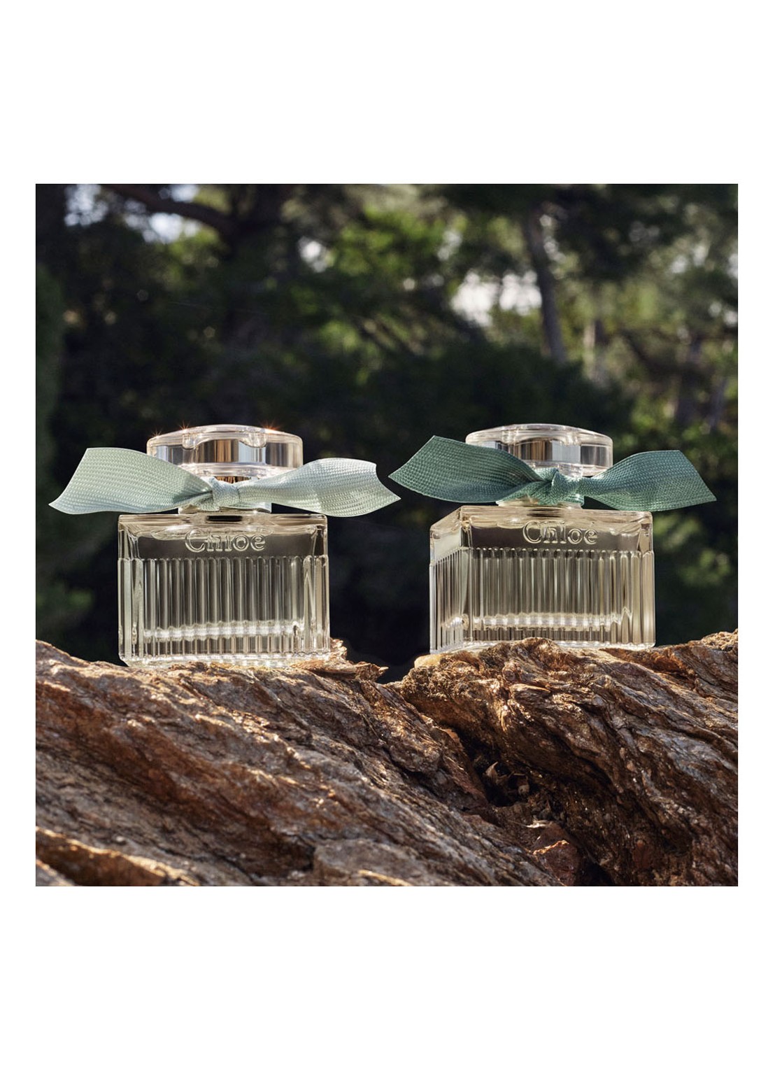 Chloé Rose Naturelle Intense Eau de Parfum - detail 7 undefined