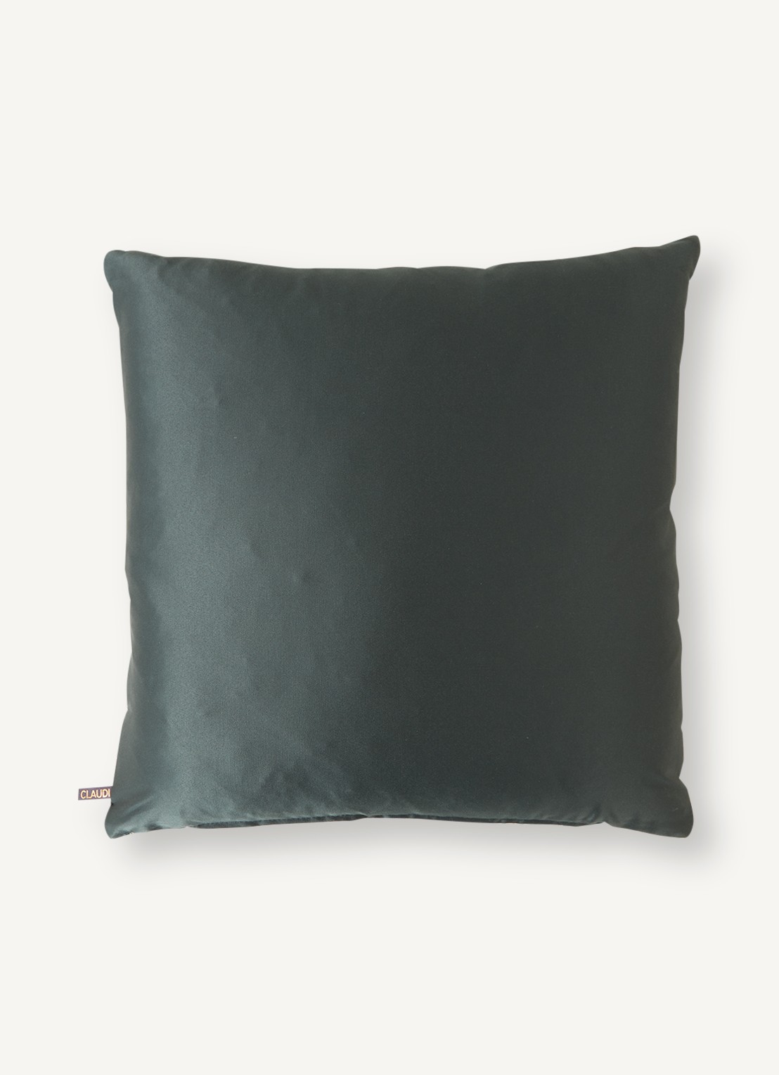 Claudi  Bart sierkussen 45 x 45 cm - voorkant 3 zeegroen