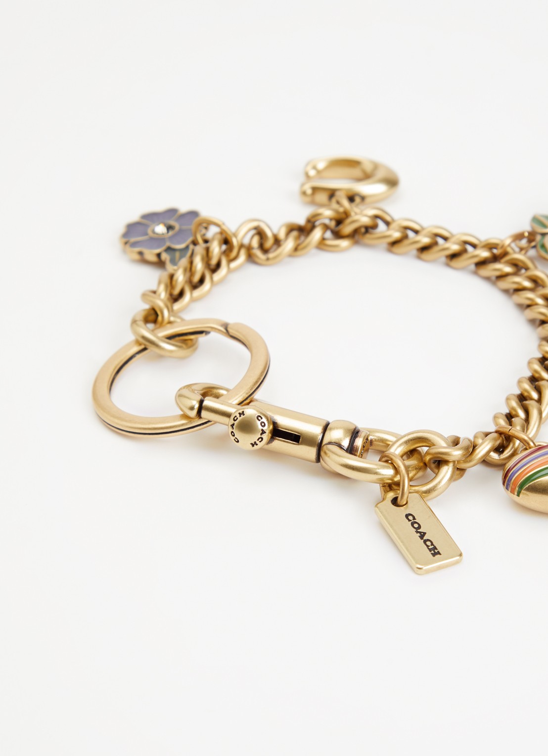 Coach Chain tasbedel - detail multicolor