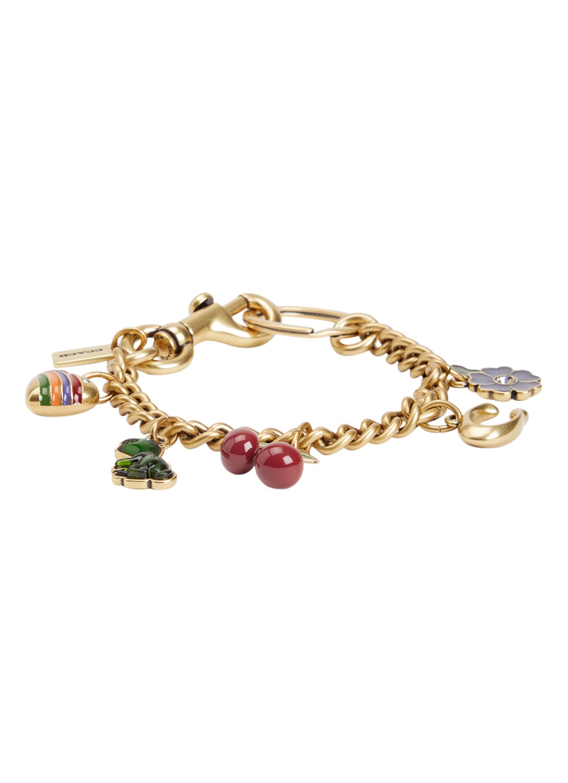 Coach Chain tasbedel - voorkant 2 multicolor