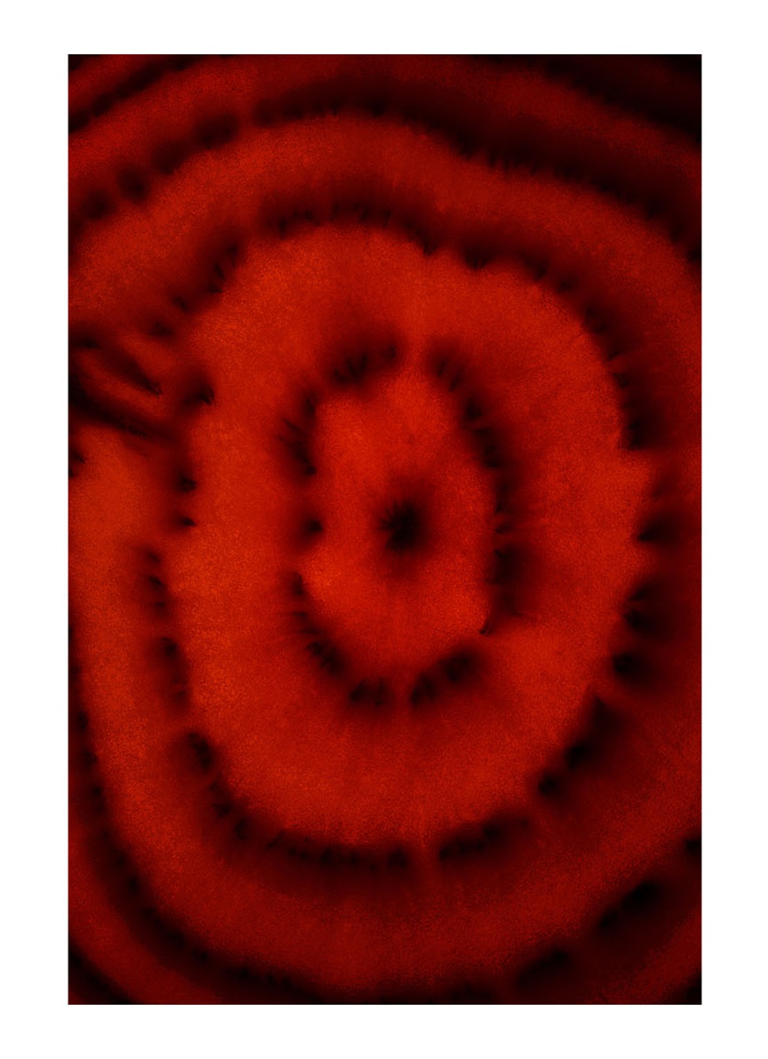 Comme des Garcons Rouge Eau de Parfum - detail 2 undefined