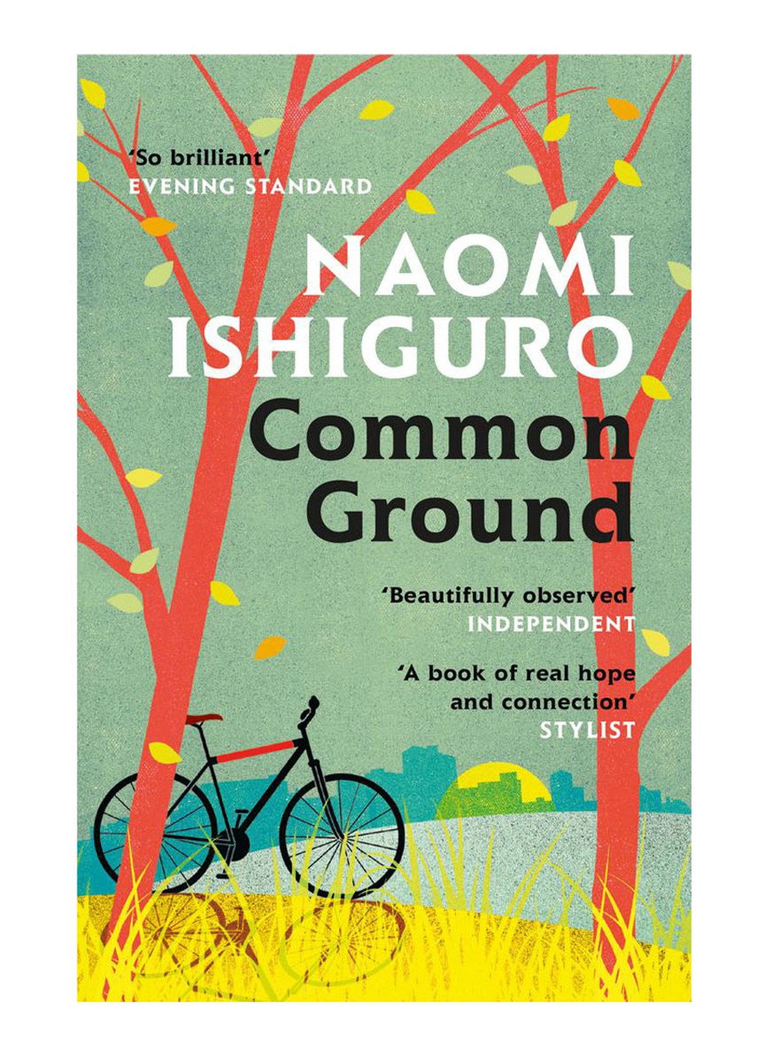 Common Ground - voorkant undefined