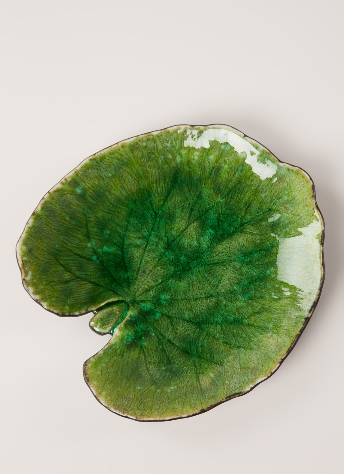Costa Nova Rivièra Alchemille gebaksbordje 18 cm - detail groen