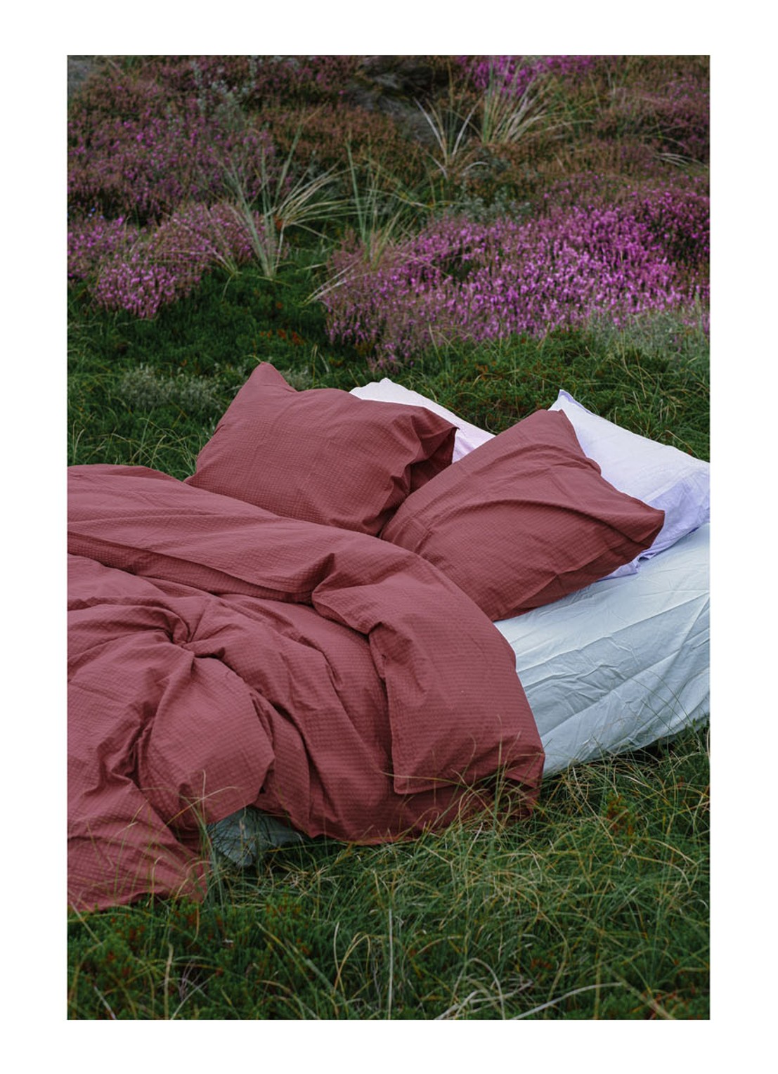 Crisp Sheets CRISP dekbedovertrekset van katoen - inclusief kussenslopen - detail 4 bordeauxrood
