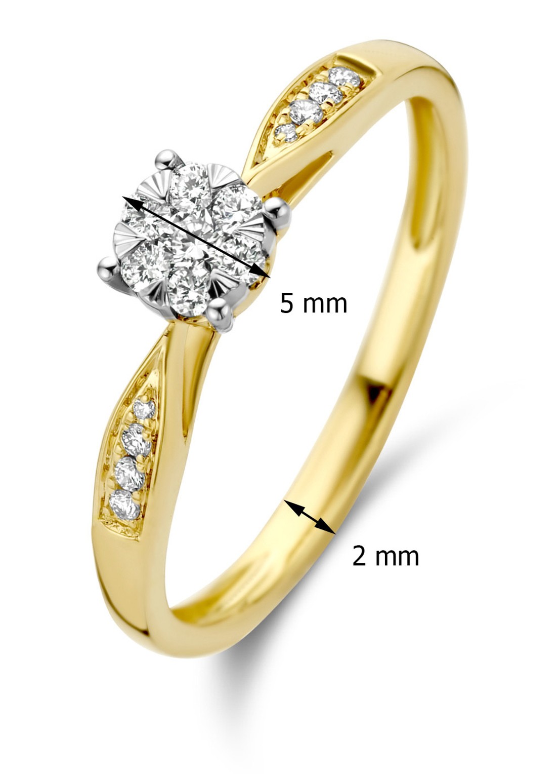 Diamond Point Gouden ring 0.20 ct diamant Enchanted - detail 3 geelgoud