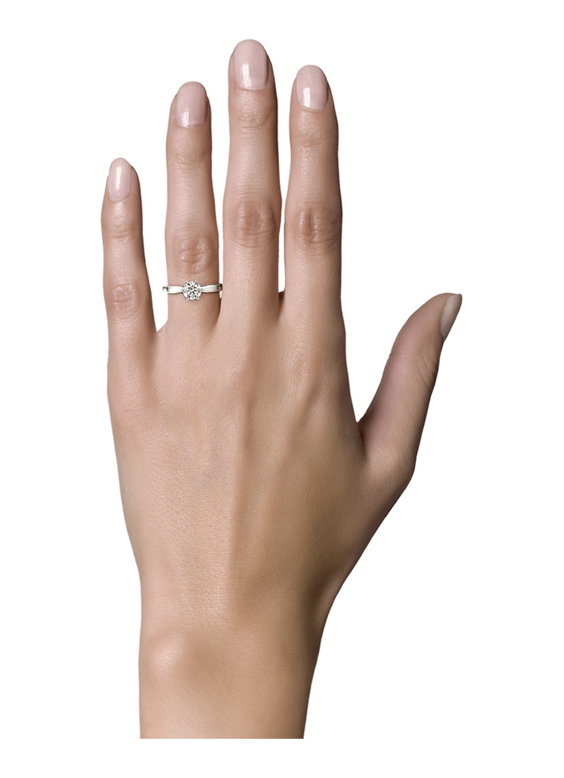Diamond Point Solitair groeibriljant ring van 18 karaat witgoud, 0.22 ct. 0.22 ct diamant  - detail 2 witgoud