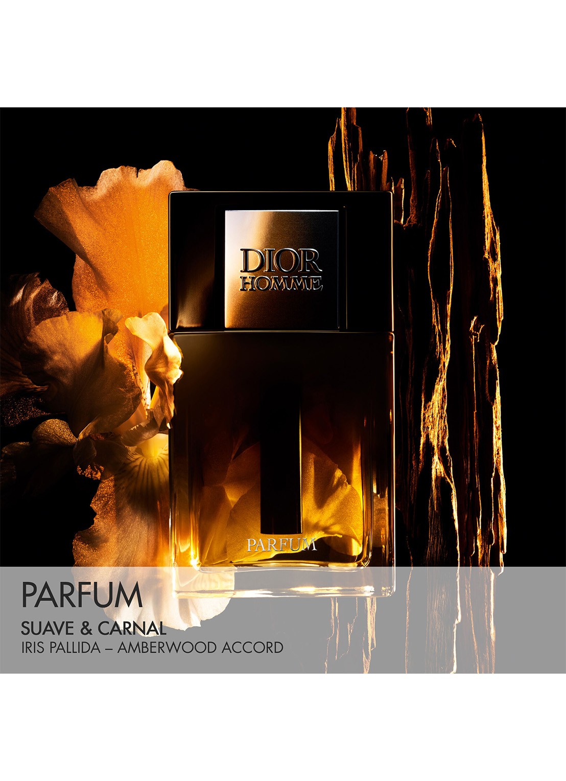 DIOR Homme Parfum - detail 6 undefined