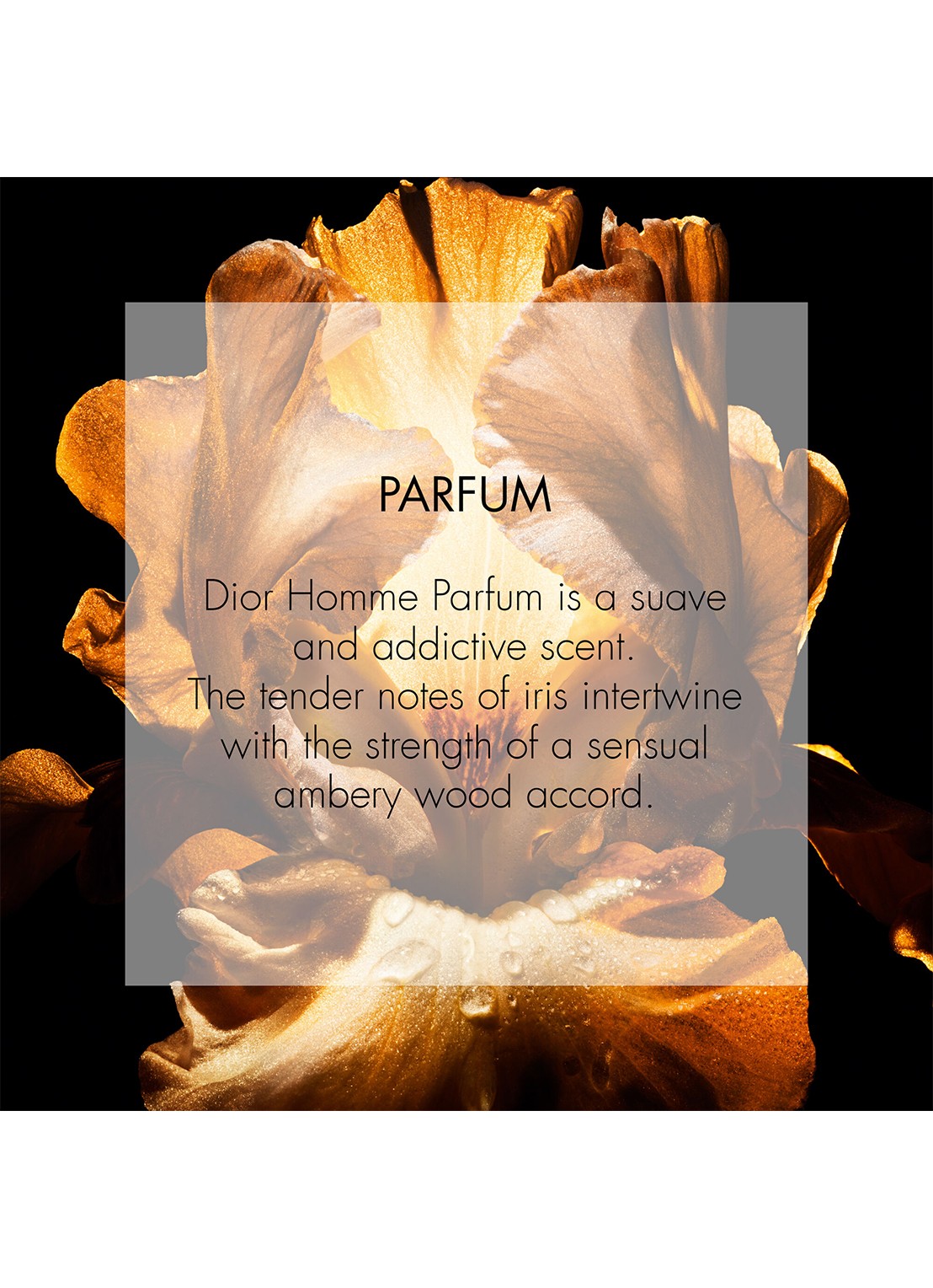 DIOR Homme Parfum - detail 5 undefined