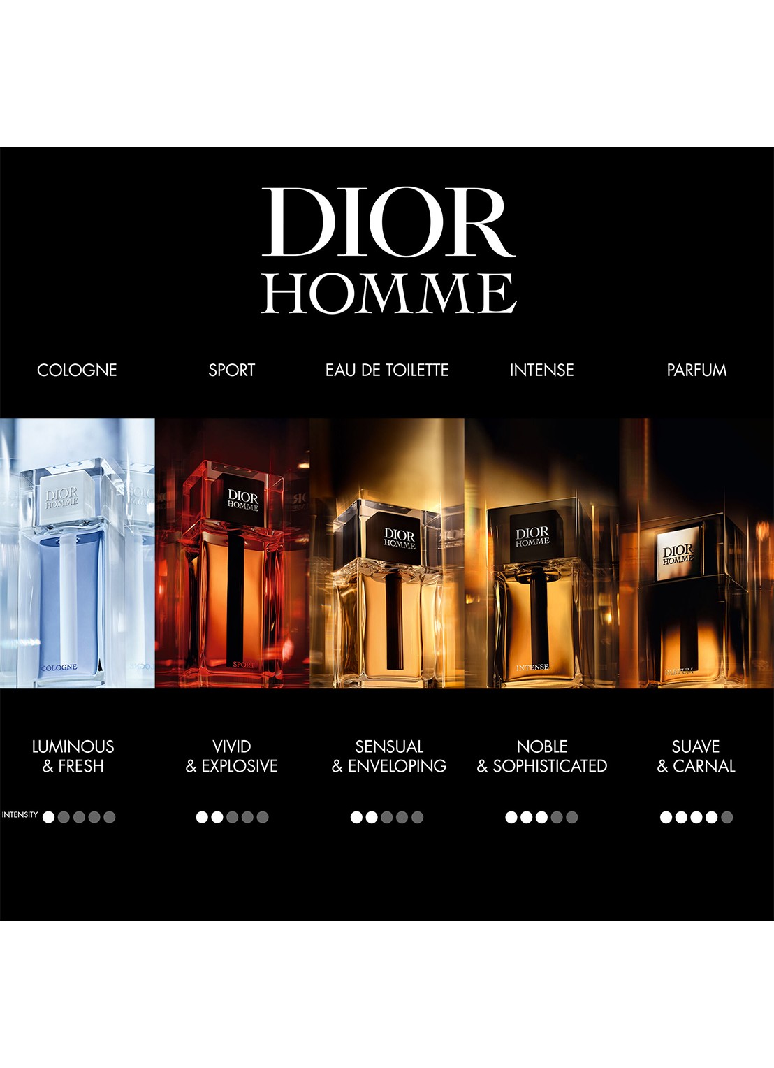 DIOR Homme Parfum - detail 6 undefined