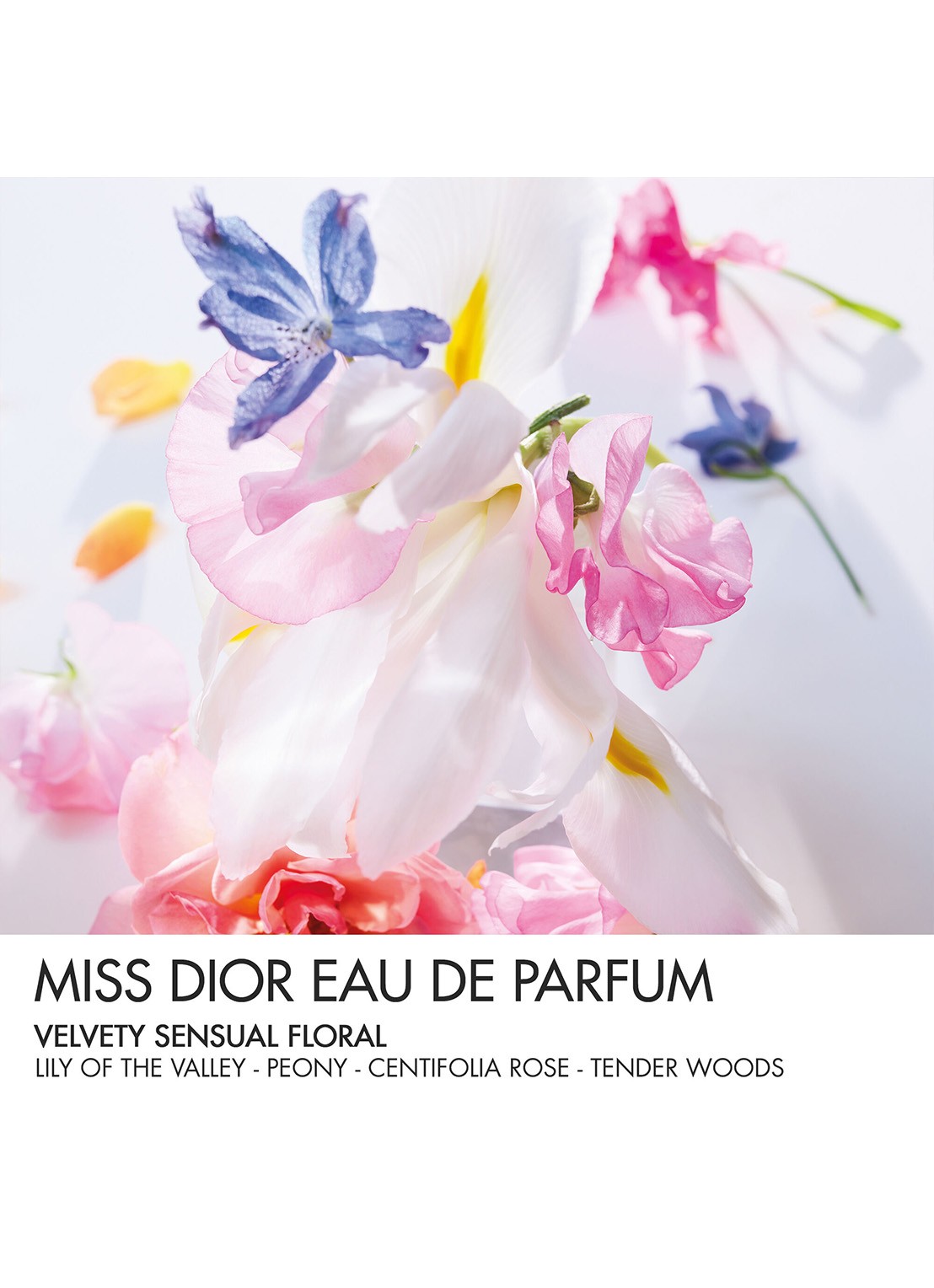 DIOR Miss Dior Eau de Parfum Mini Miss - Solid Parfum - detail 4 undefined