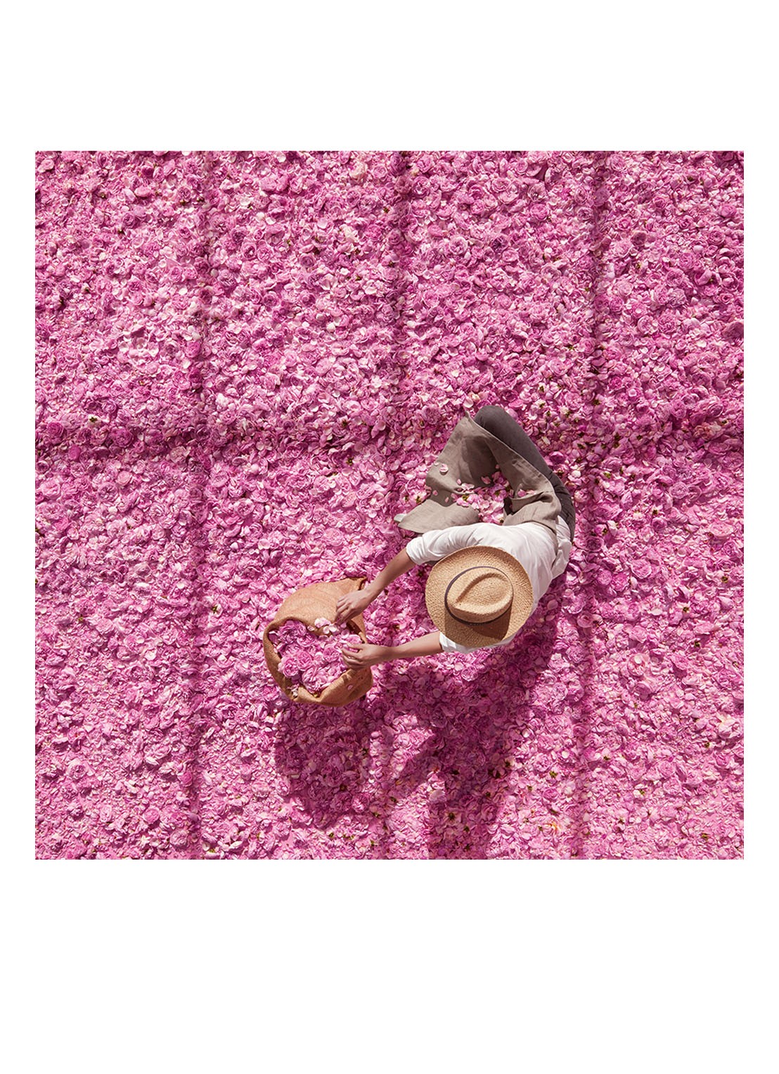 DIOR Miss Dior Eau de Parfum - detail 7 undefined