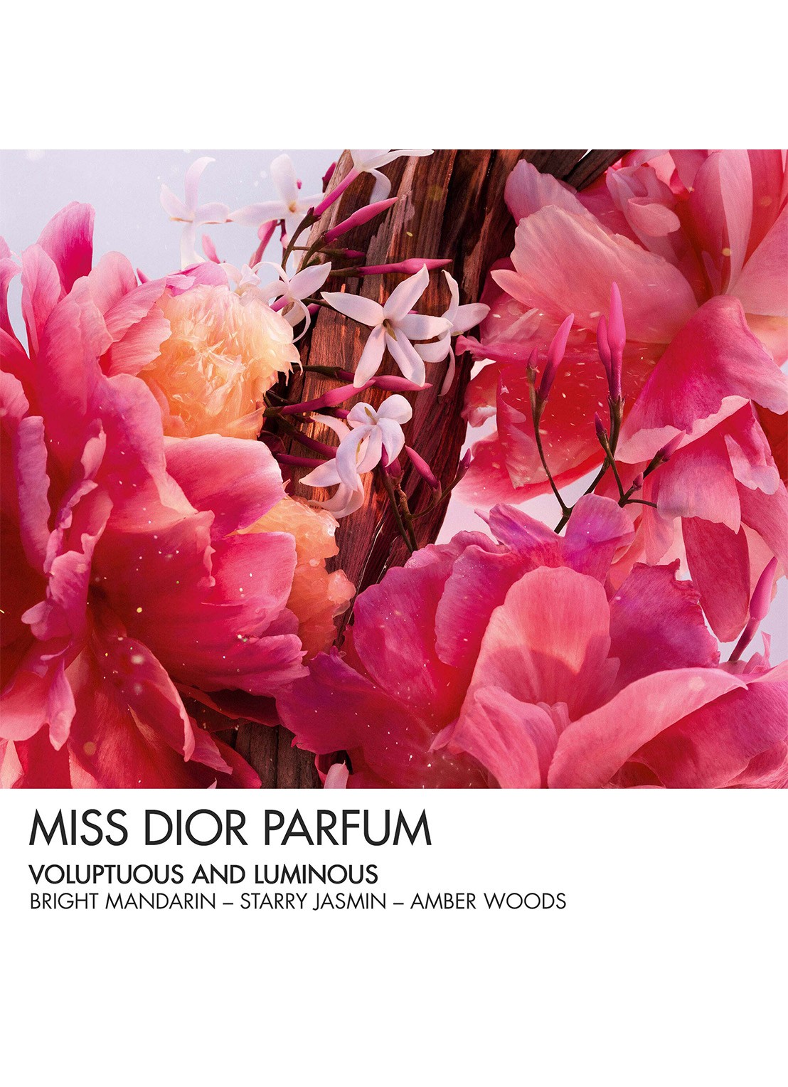DIOR Miss Dior Parfum Roller-Pearl - detail 6 undefined