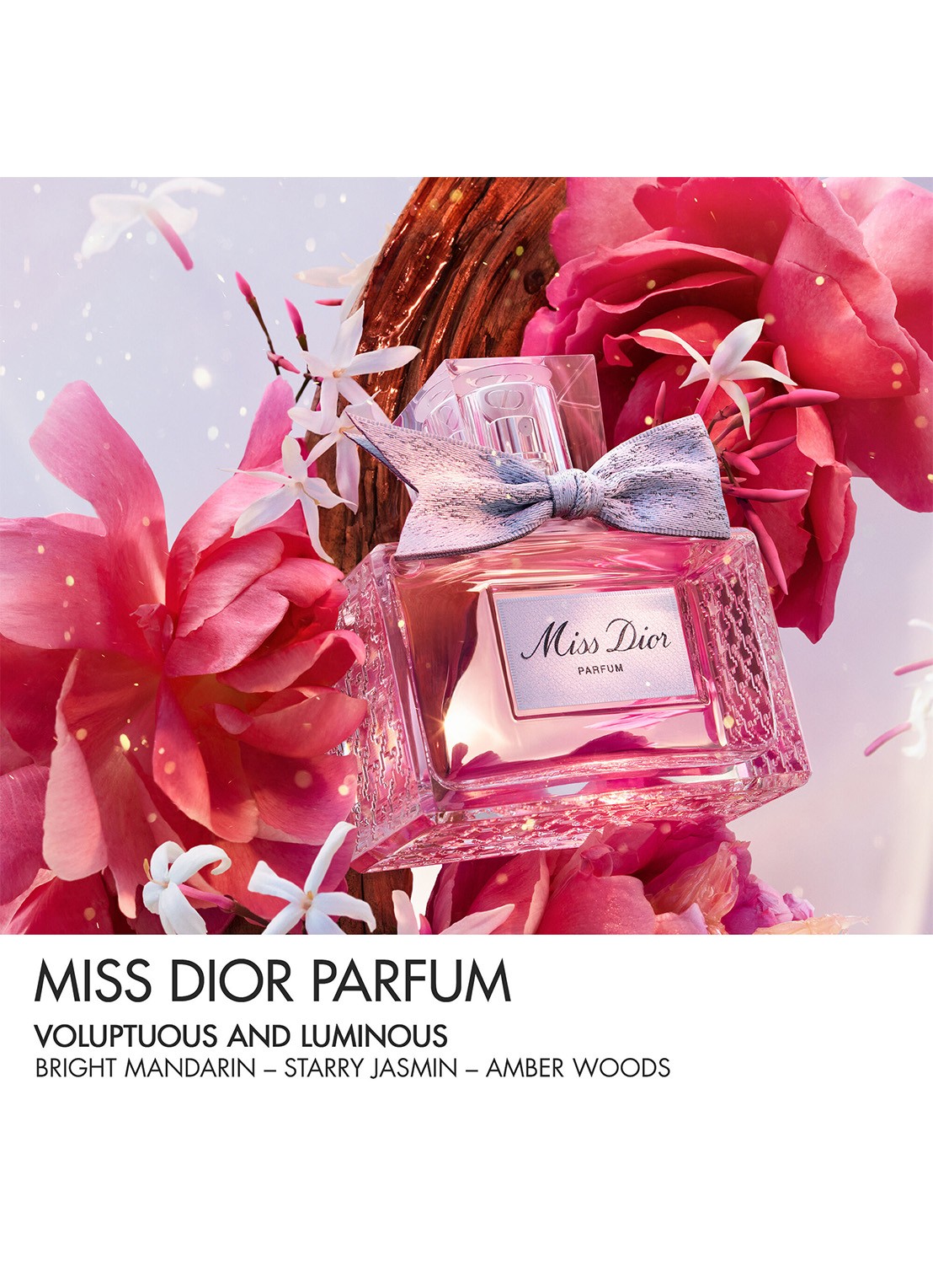 DIOR Miss Dior Parfum - detail 5 undefined