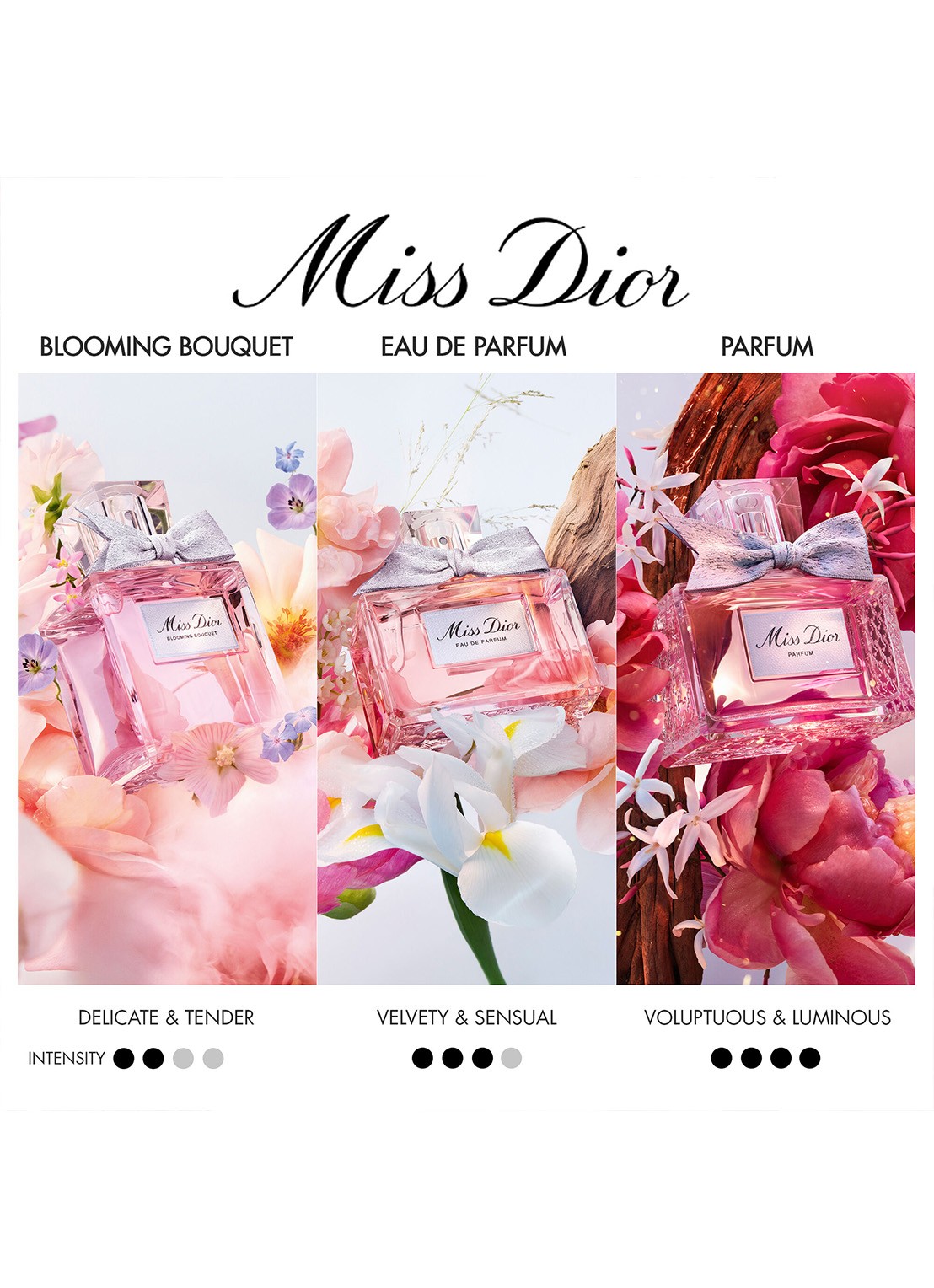 DIOR Miss Dior Parfum - detail 8 undefined