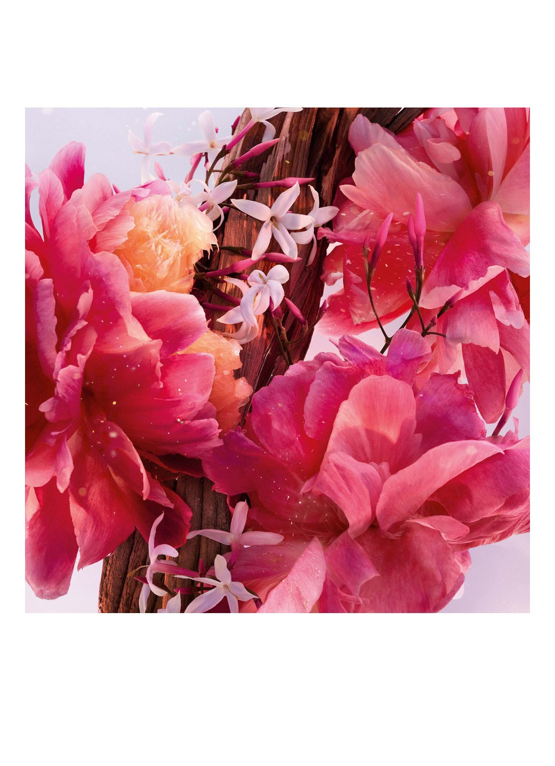 DIOR Miss Dior Parfum - detail 7 undefined