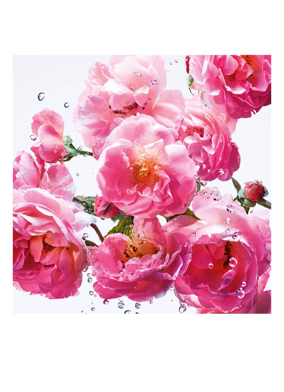 DIOR Miss Dior Rose N'Roses Eau de Toilette Roller-Pearl - detail 3 undefined
