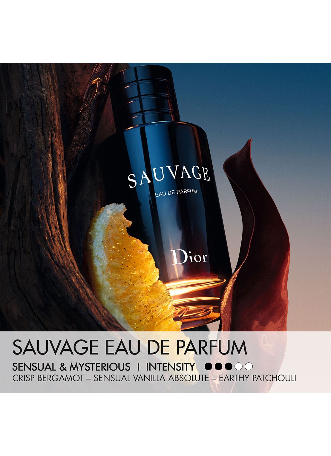 DIOR Sauvage Eau de Parfum Refill - navulling - detail 2 undefined