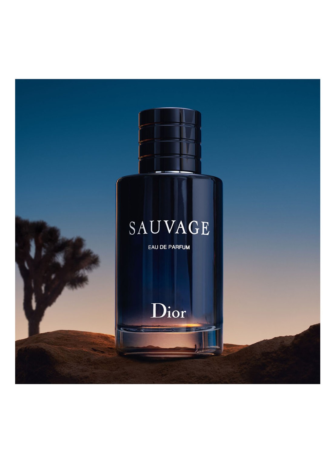 DIOR Sauvage Eau de Parfum - detail 5 undefined