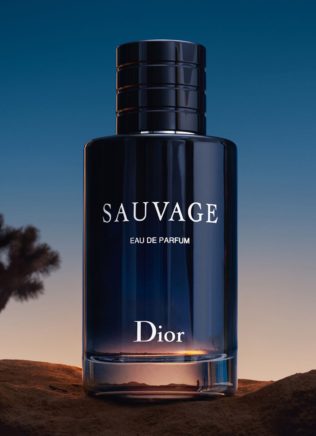 DIOR Sauvage Eau de Parfum - detail 4 undefined