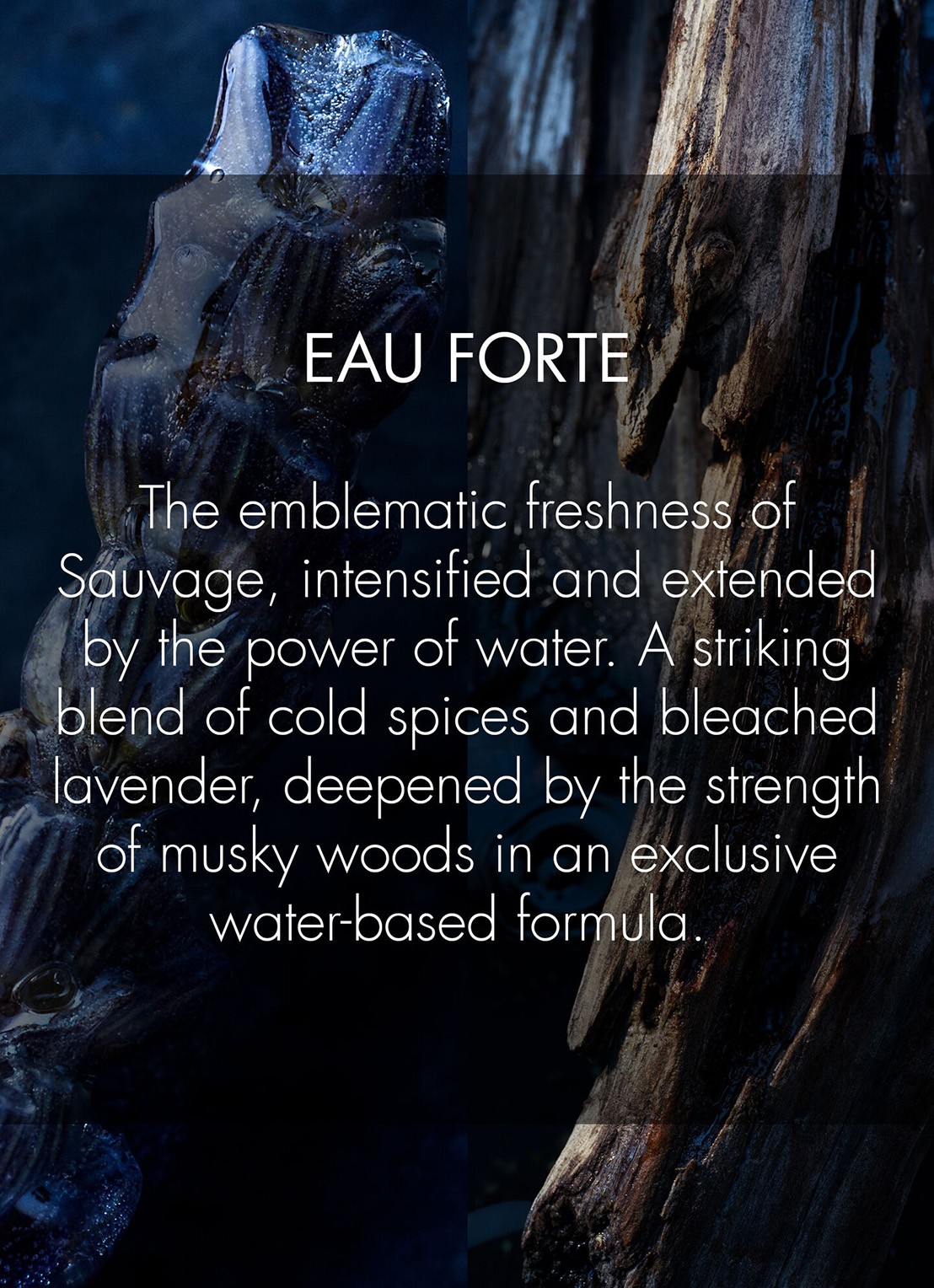 DIOR Sauvage Eau Forte - Parfum - detail 4 undefined