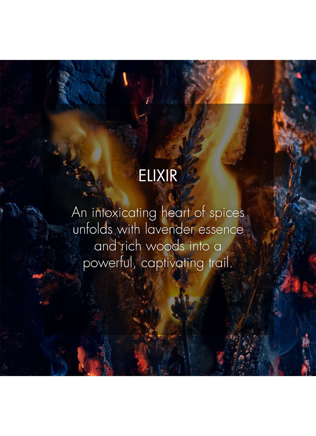 DIOR Sauvage Elixir  - detail 2 undefined