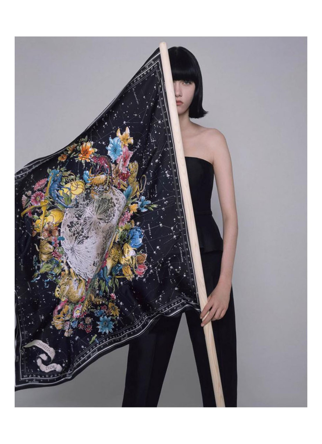 Dior Scarves. Fashion stories - voorkant undefined