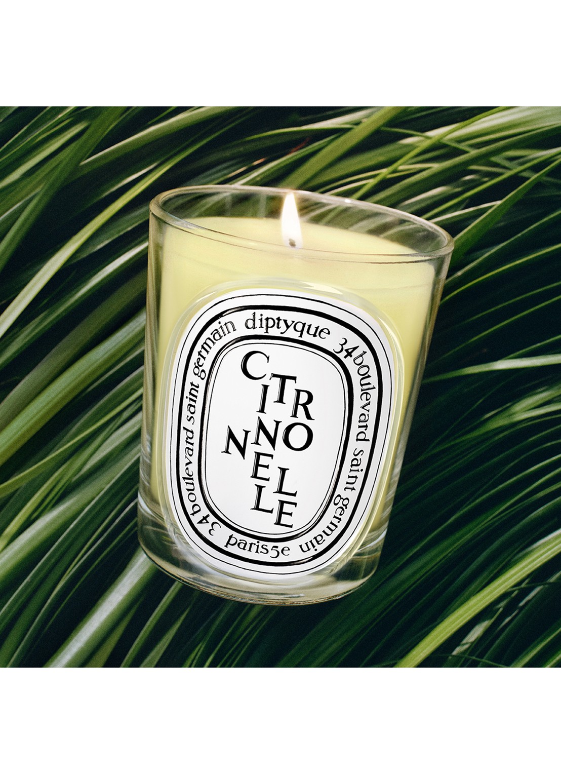 DIPTYQUE Citronnelle geurkaars 190 gram - detail 3 undefined
