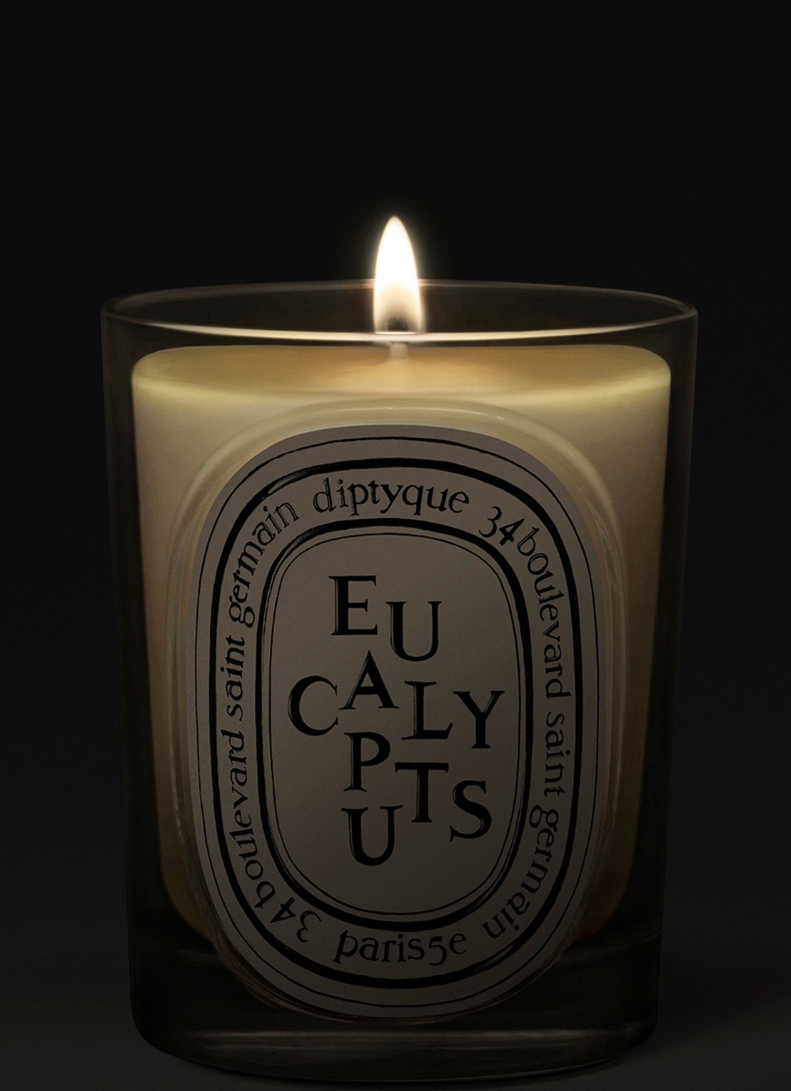 DIPTYQUE Eucalyptus Classic geurkaars 190 gram - voorkant 2 beige