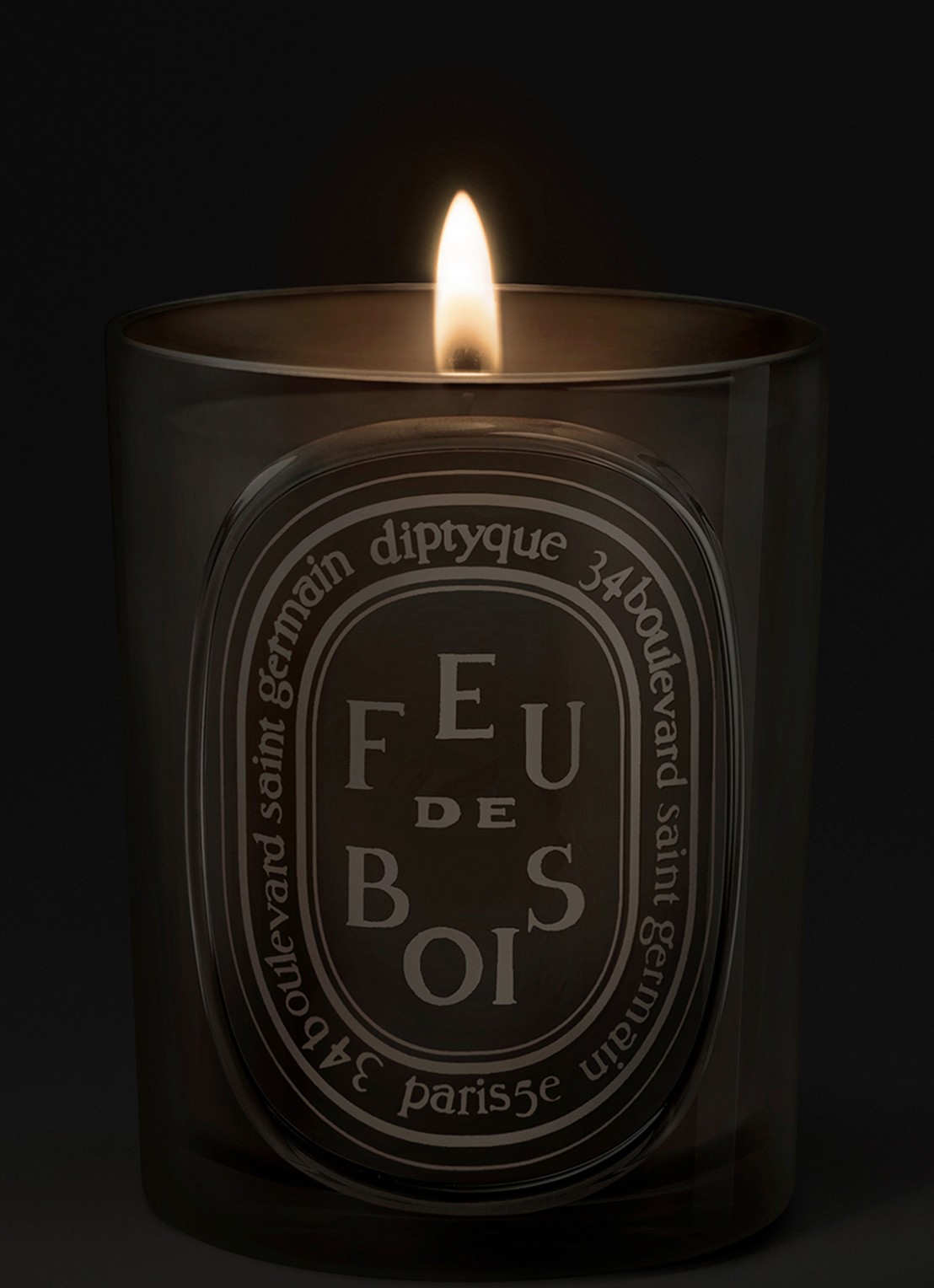 DIPTYQUE Feu de Bois geurkaars 300 gram - voorkant 2 beige