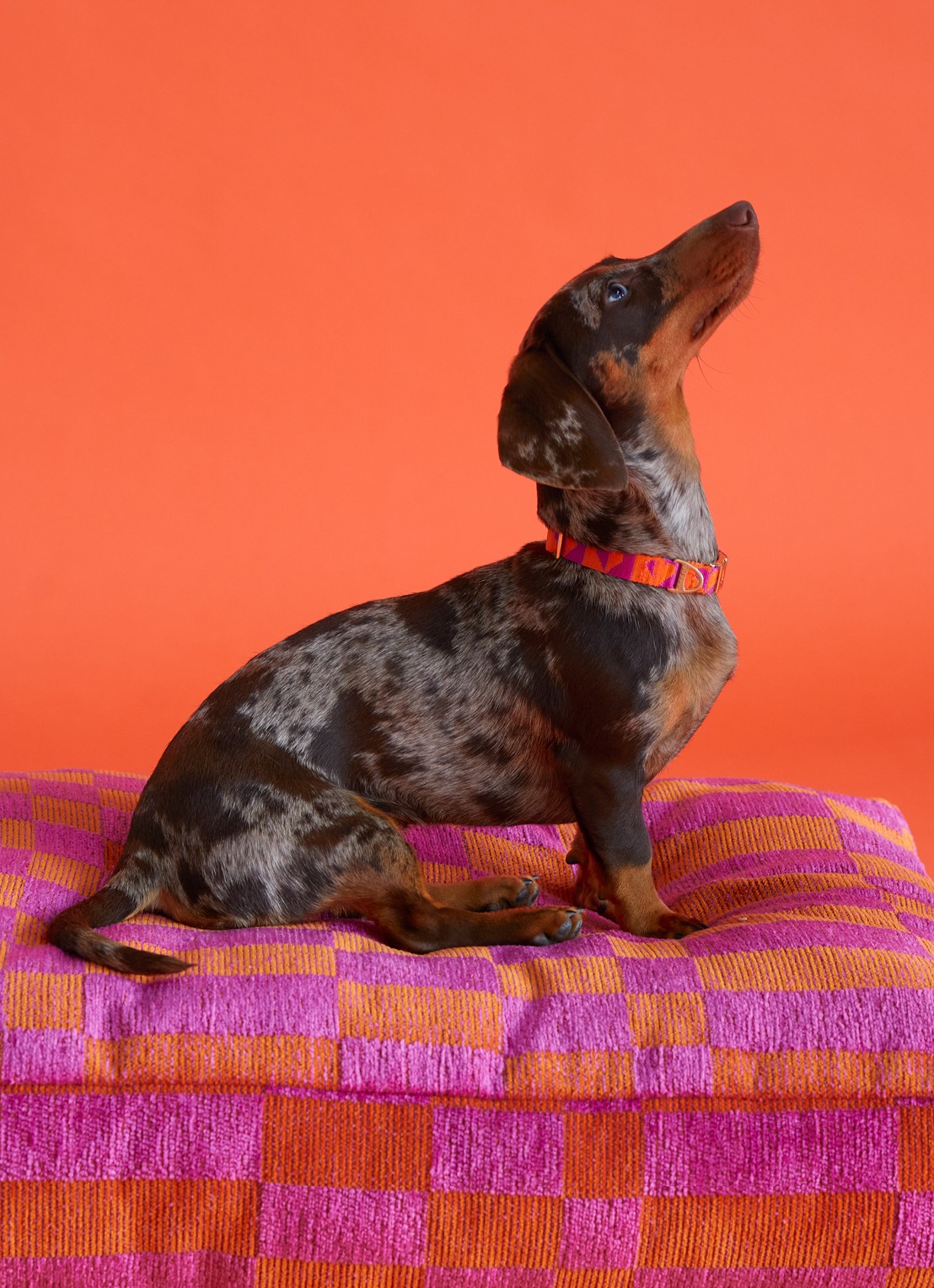 DOGGUO Block L hondenmand 105 x 65 cm  - voorkant 4 roze