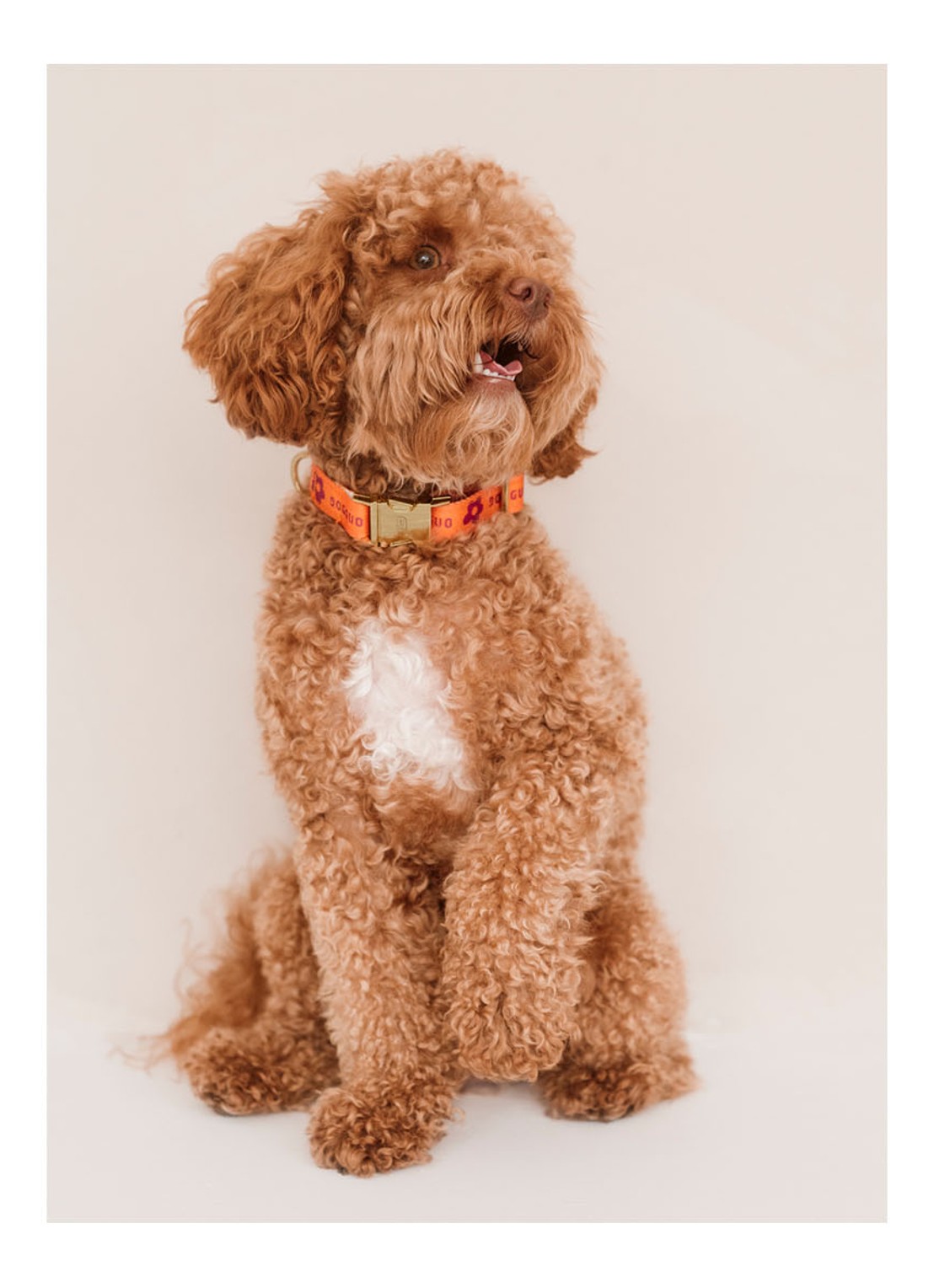 DOGGUO Flower collar M halsband voor honden 36 x 52 cm - detail 2 orange