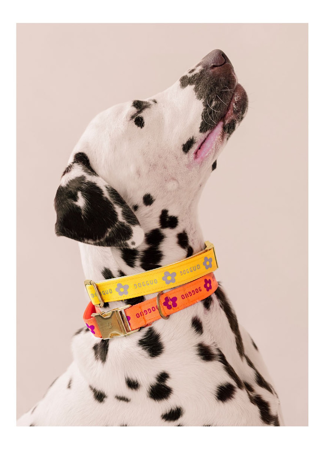 DOGGUO Flower collar M halsband voor honden 36 x 52 cm - detail 3 geel