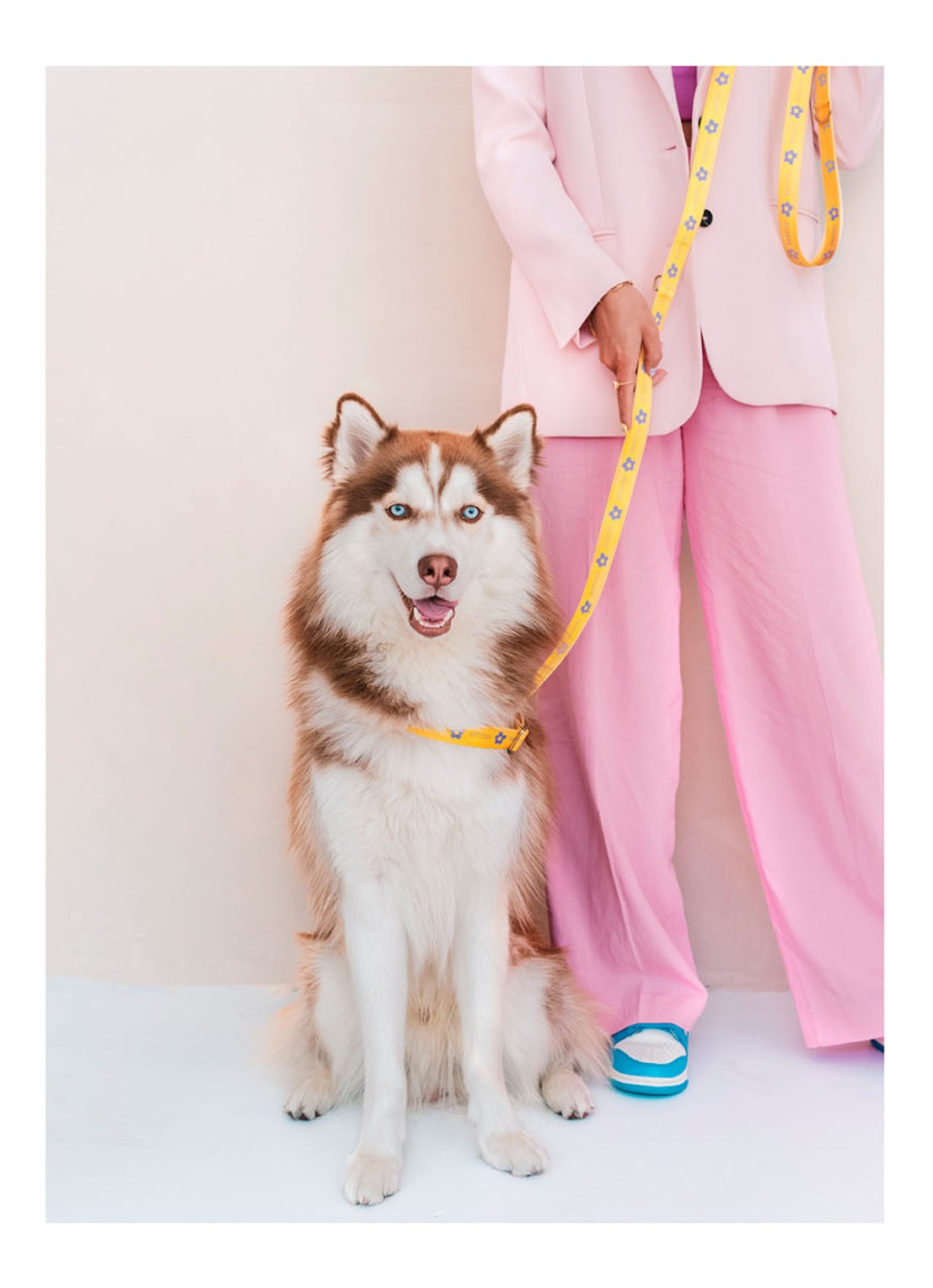 DOGGUO Flower collar M halsband voor honden 36 x 52 cm - detail 5 geel