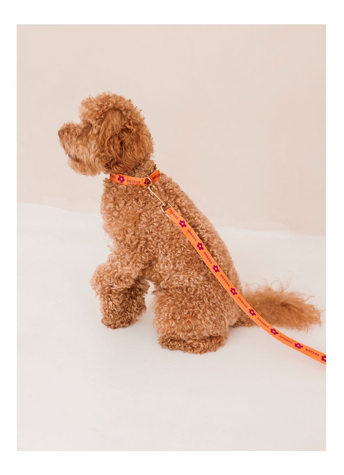 DOGGUO Flower leash hondenriem 200 cm - detail 6 orange