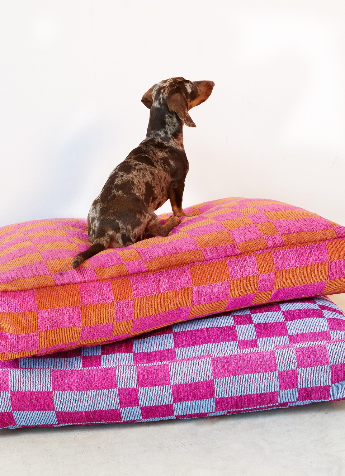 DOGGUO Hondenmand met print 85 x 55 cm - achterkant 3 roze