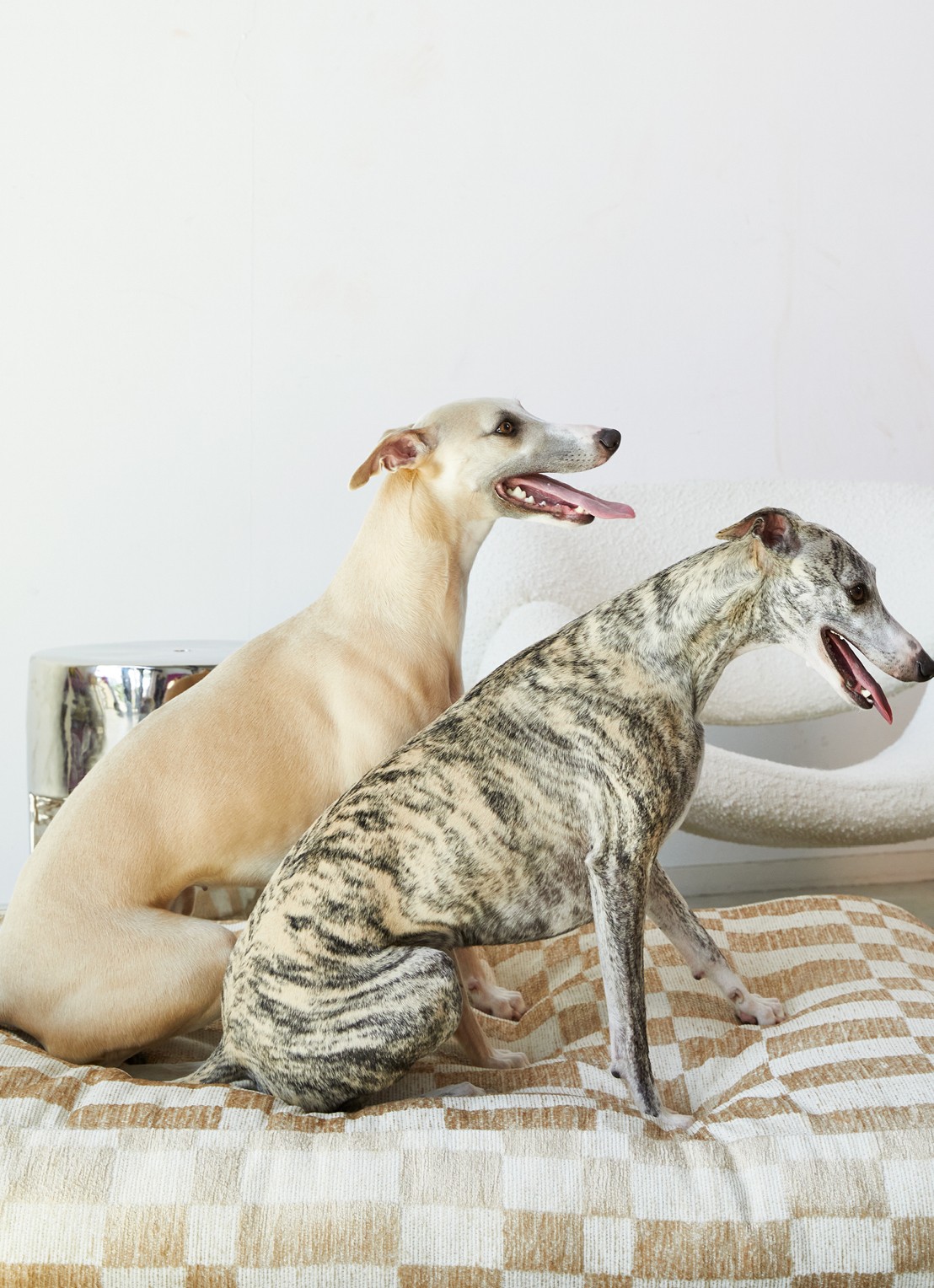 DOGGUO Hondenmand met ruitdessin 65 x 105 cm - achterkant 5 beige