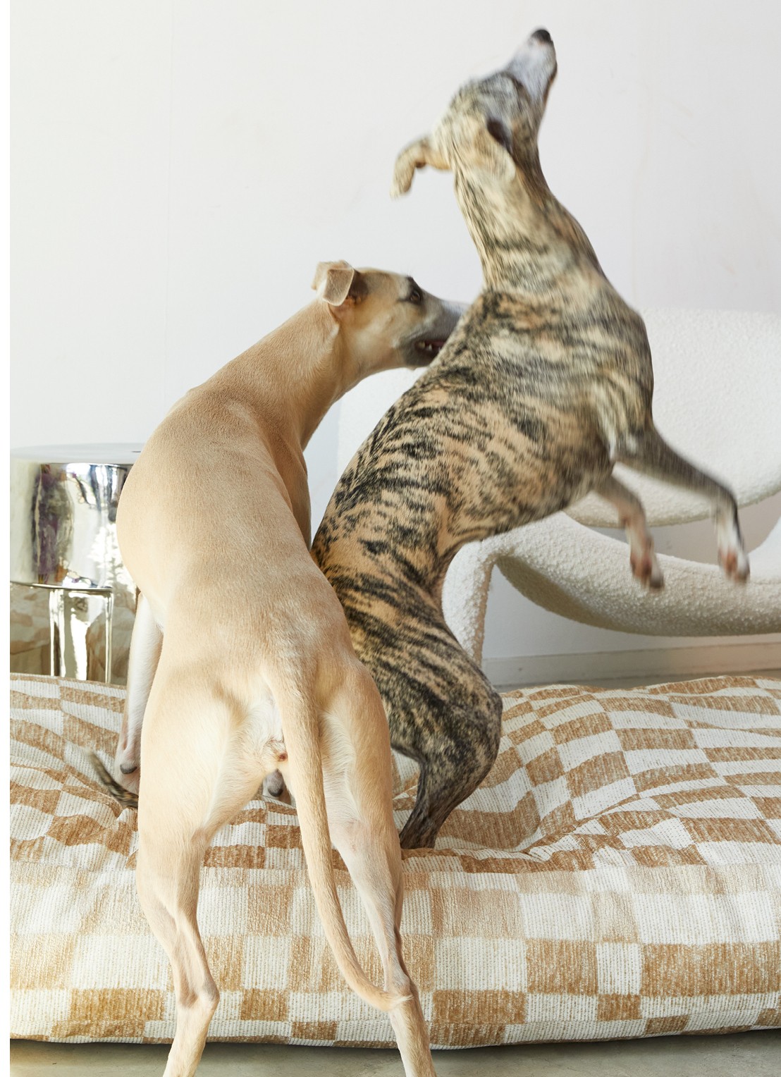 DOGGUO Hondenmand met ruitdessin 65 x 105 cm - voorkant 2 beige