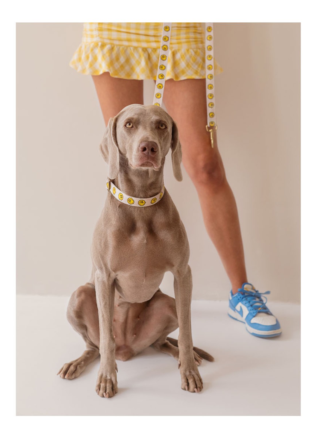 DOGGUO Smiley leash hondenriem 200 cm - detail 6 beige