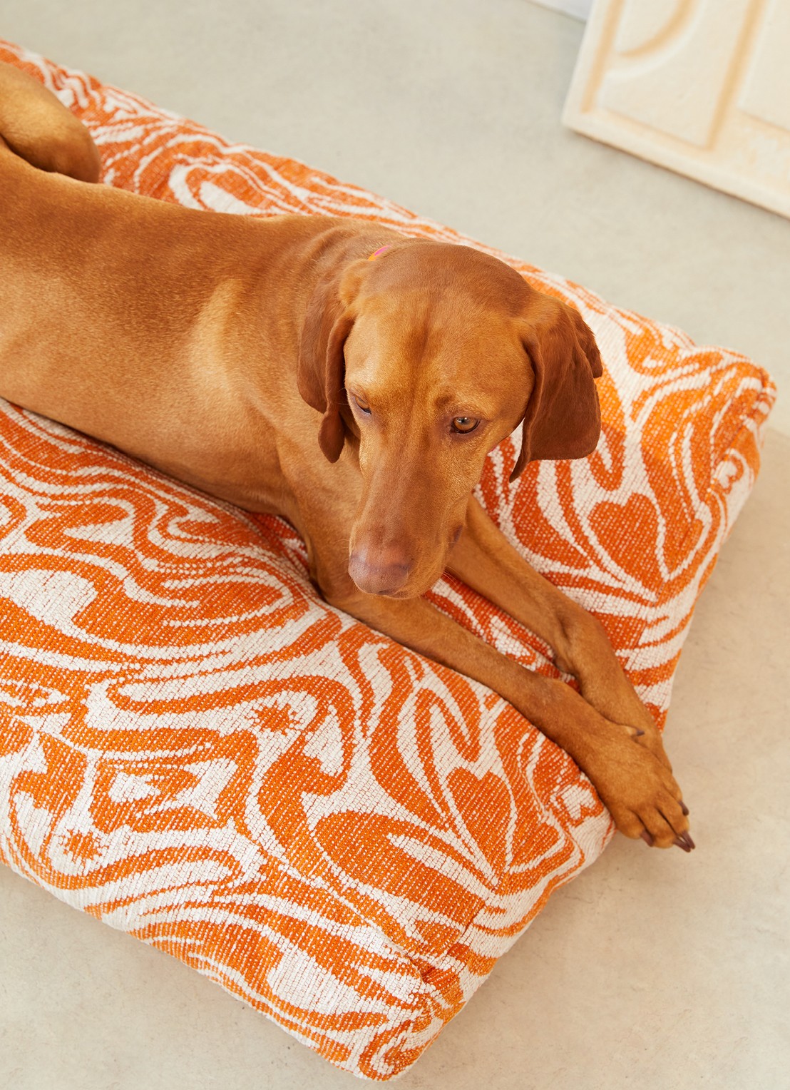 DOGGUO Swirl hondenmand met print 105 x 65 cm - achterkant 4 orange