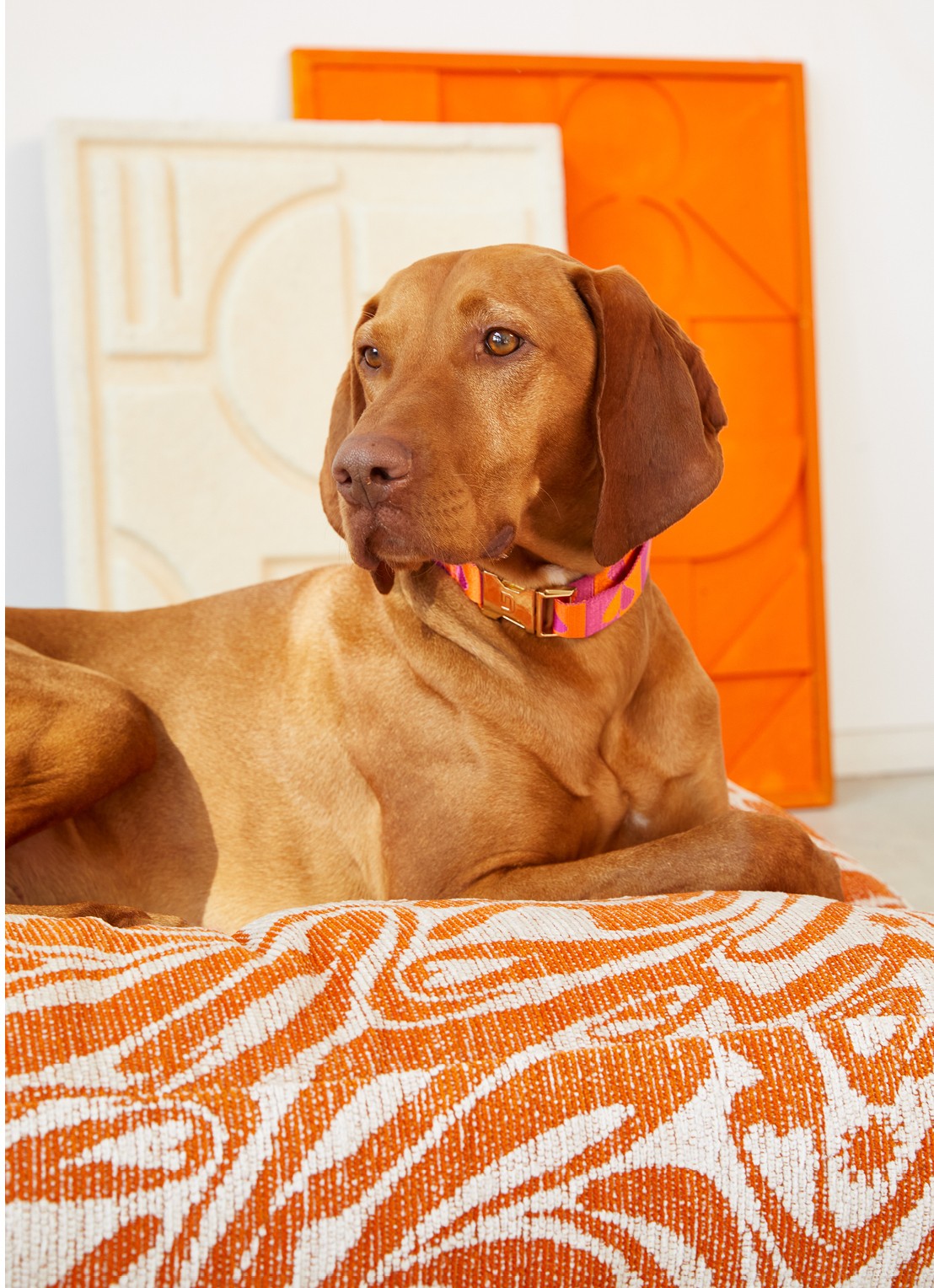 DOGGUO Swirl hondenmand met print 105 x 65 cm - voorkant 2 orange