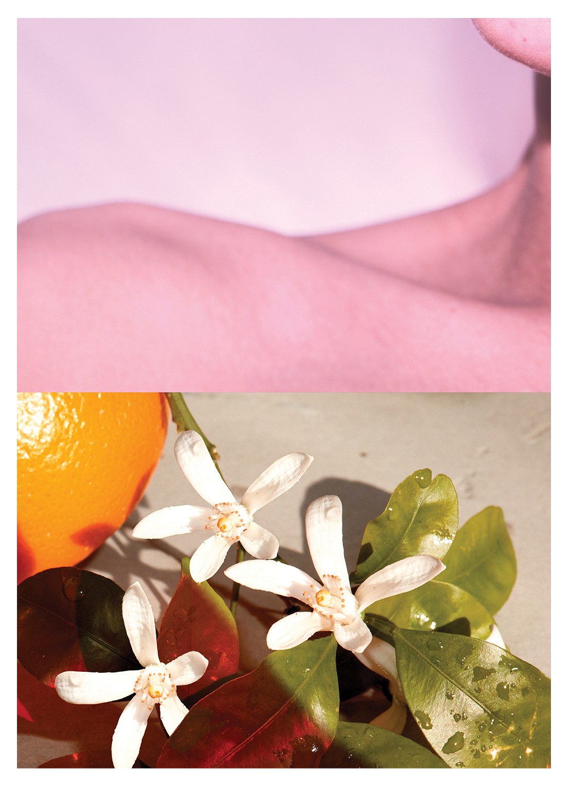 Dries Van Noten Neon Garden Eau de Parfum - detail 3 undefined