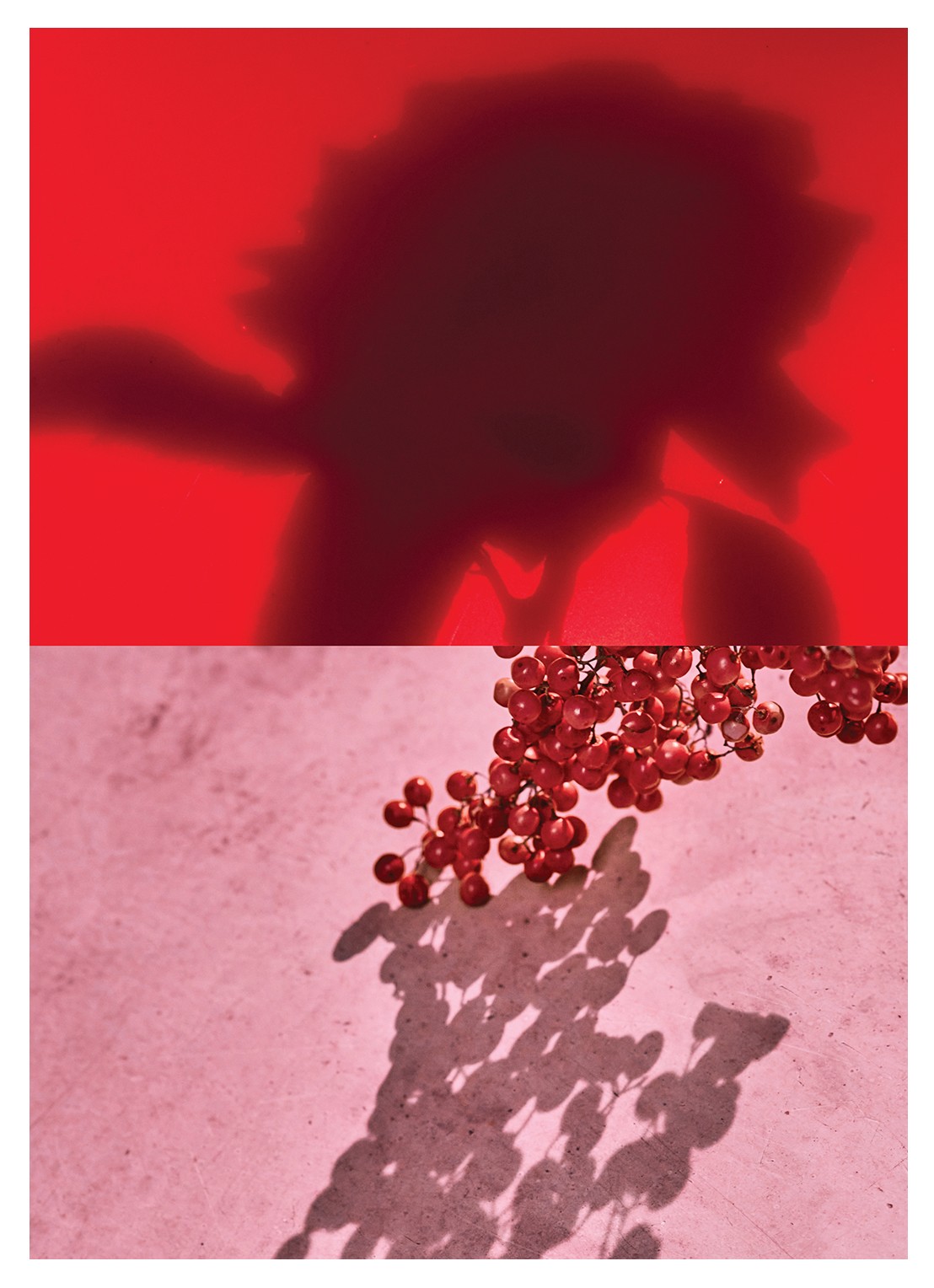 Dries Van Noten Raving Rose Eau de Parfum - detail 4 undefined