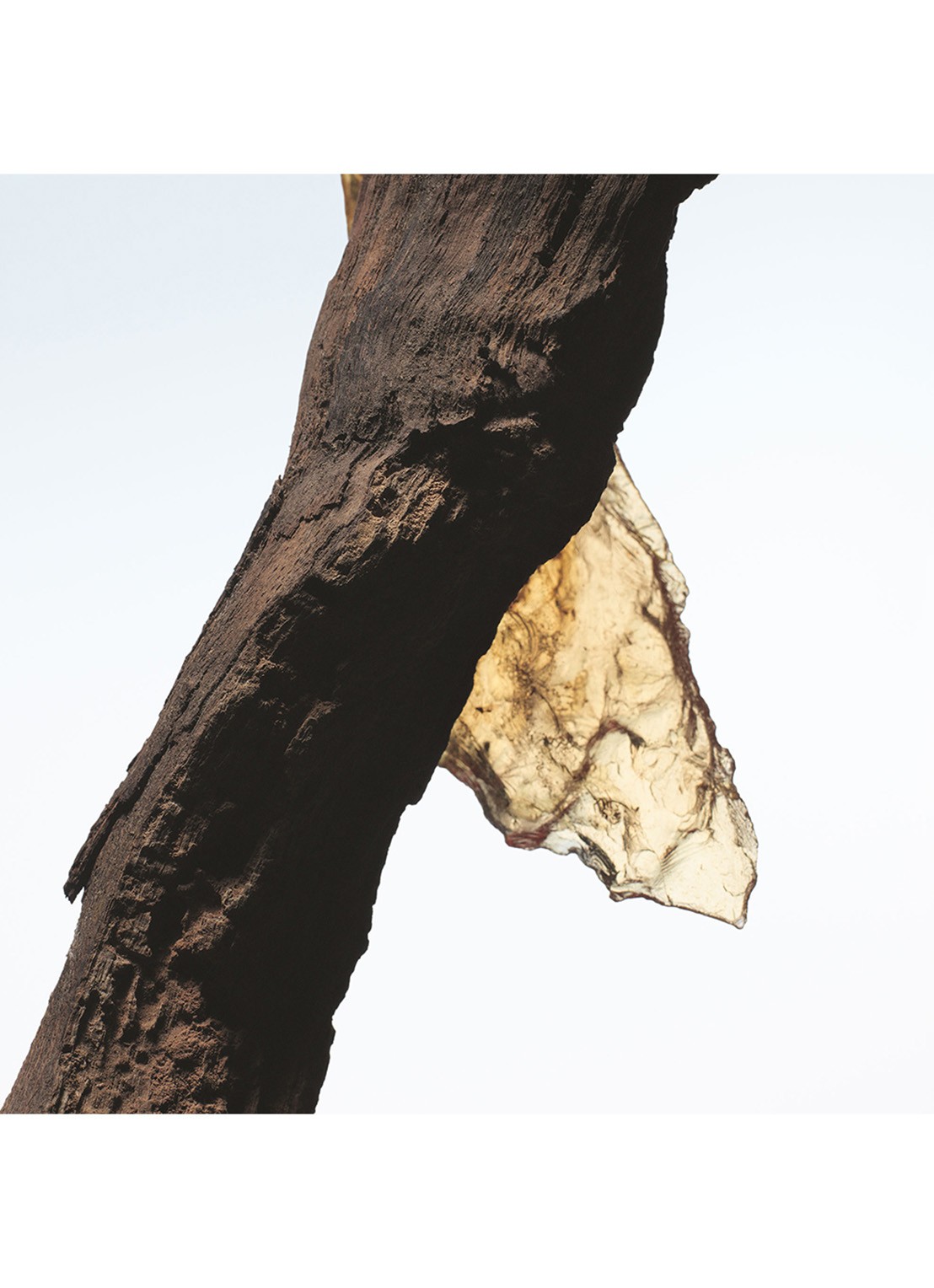 Dries Van Noten Rock the Myrrh Eau de Parfum - detail 4 undefined