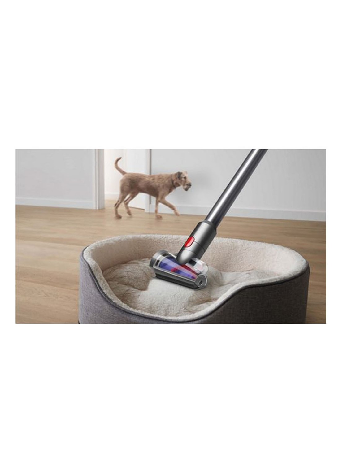 Dyson V8 Absolute (2022) - detail 5 zilver