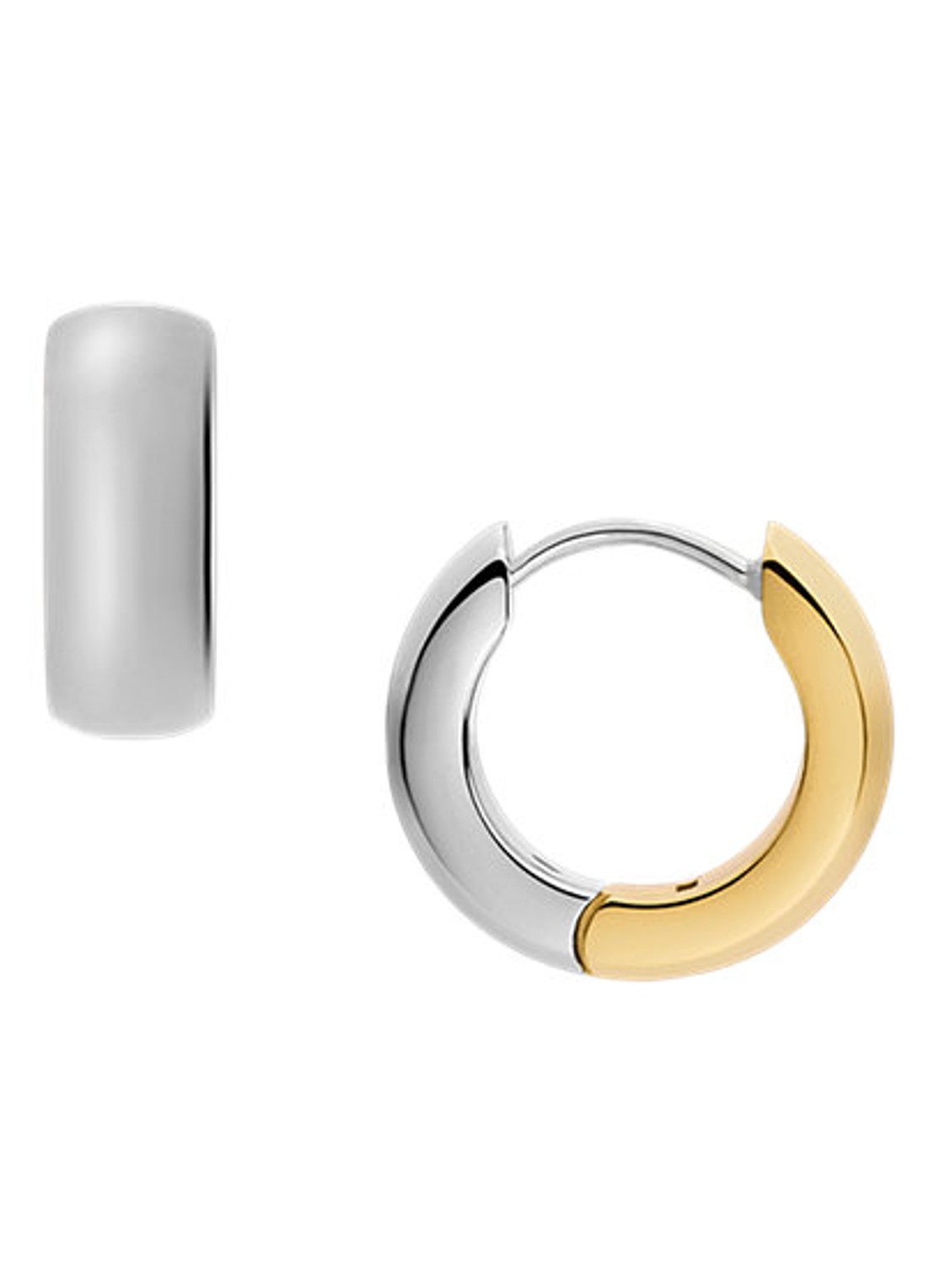 Fossil Ellis oorringen JF04899998 - detail goud