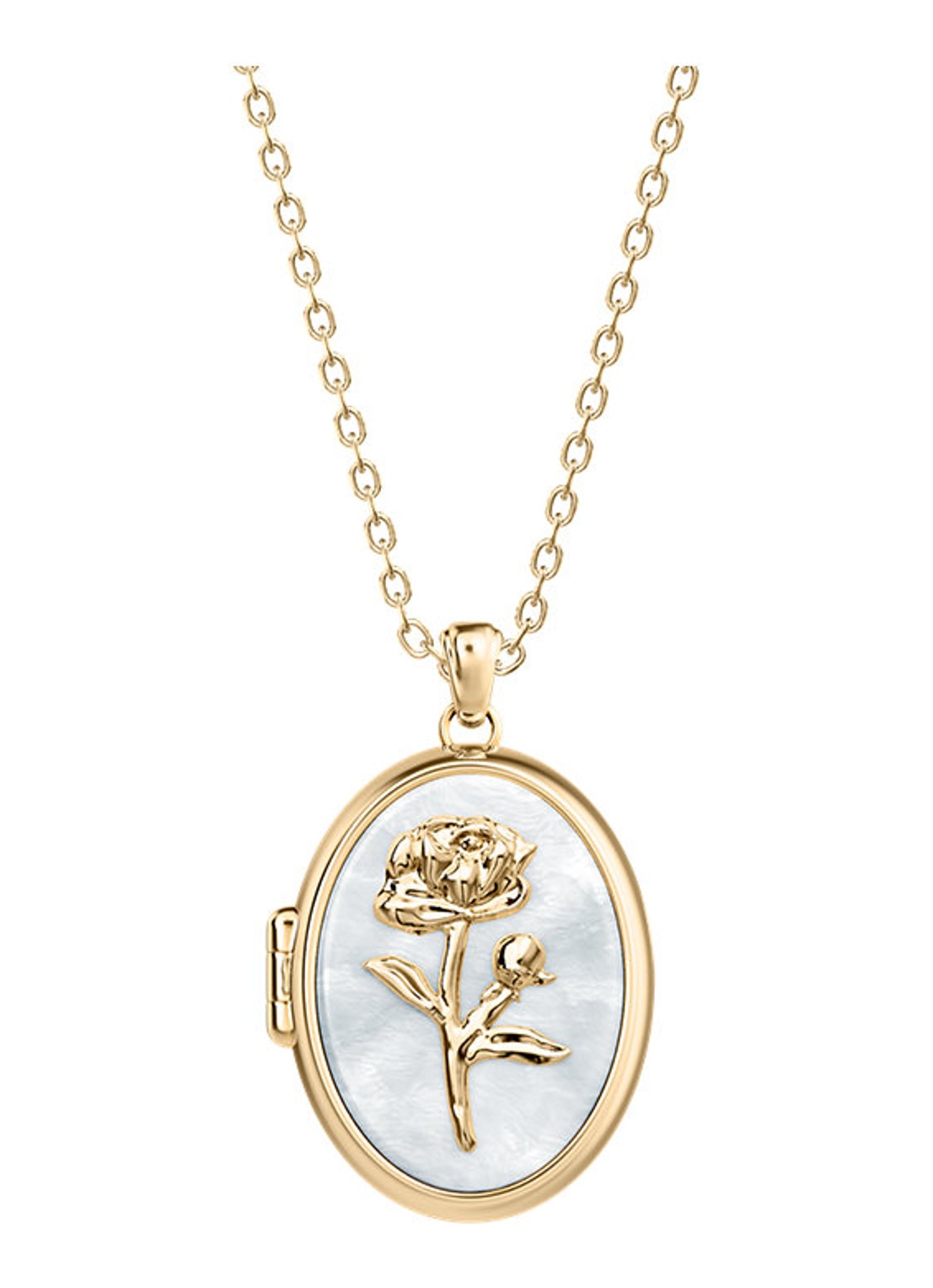 Fossil Sutton ketting  JF04976710 - voorkant goud