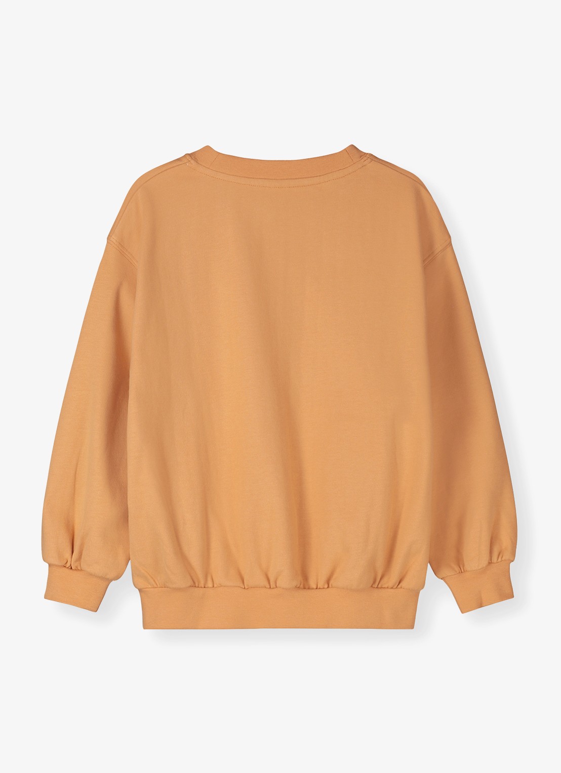 Gray Label Sweater met ronde hals - achterkant 4 orange