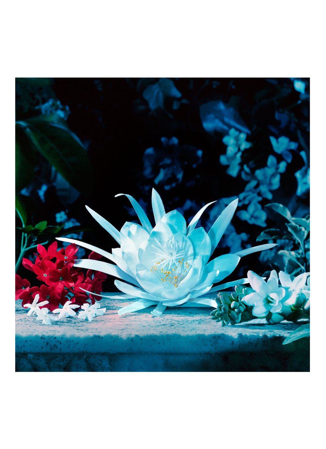Gucci Gucci Bloom Eau de Parfum Intense - detail 5 undefined