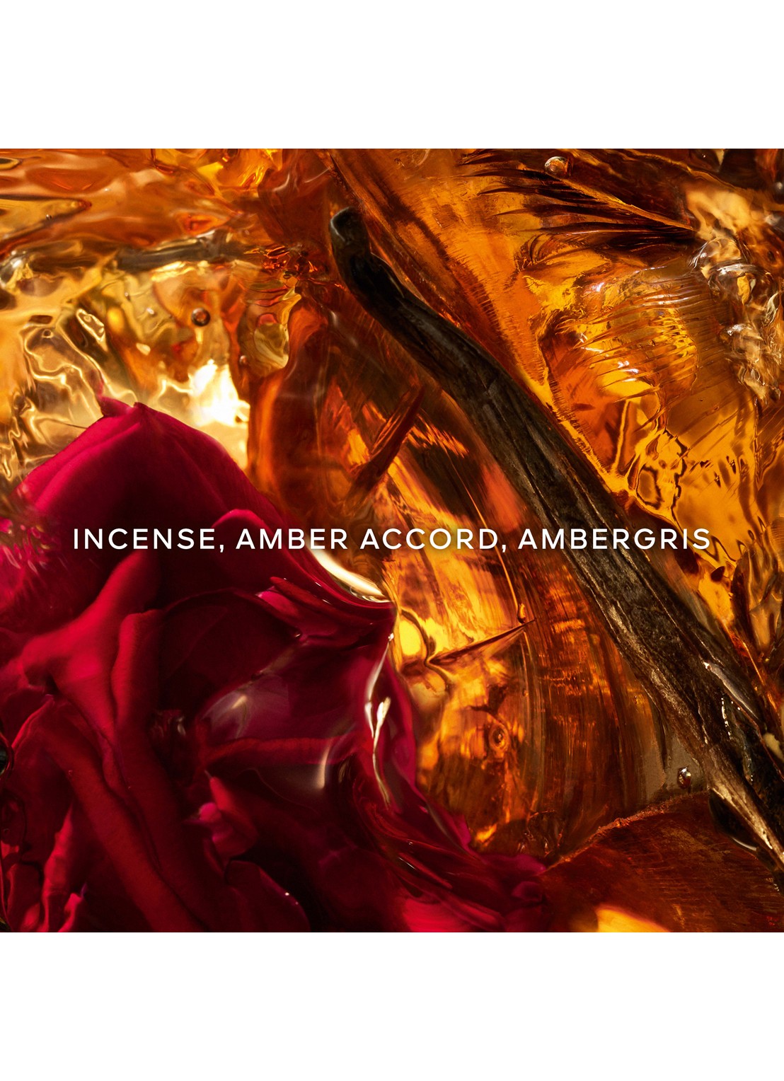 Guerlain Absolus Allegoria Ambre Samar Eau de Parfum - detail 4 undefined
