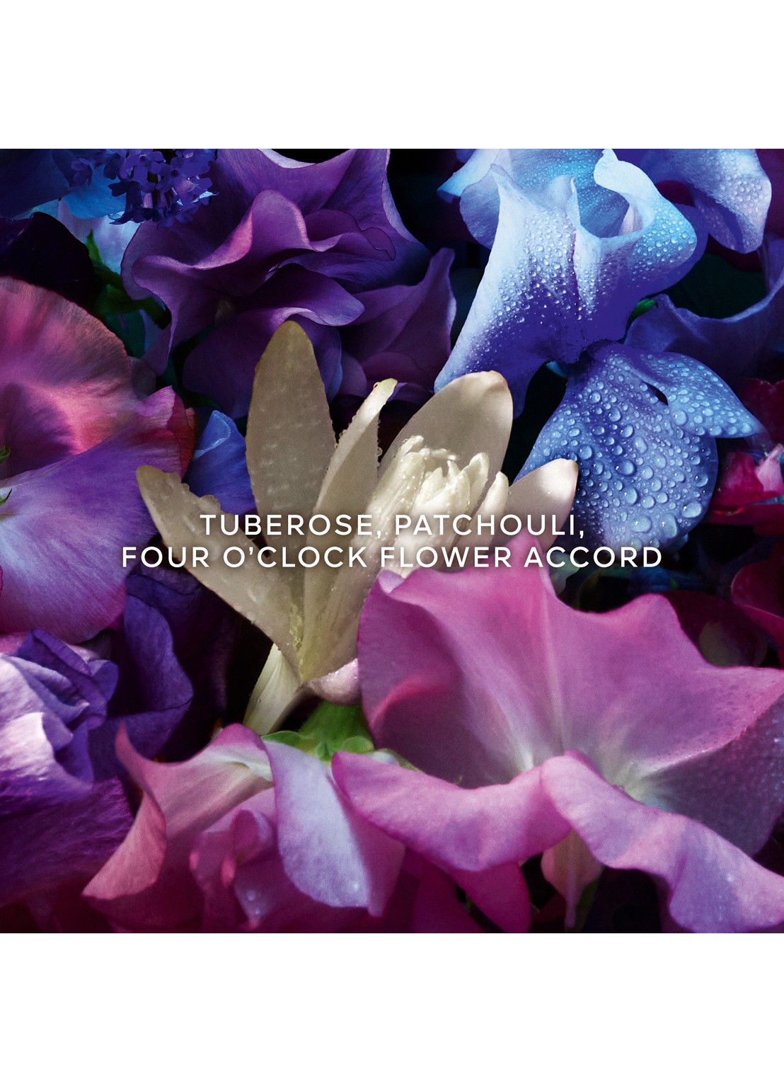 Guerlain Absolus Allegoria Florabloom Eau de Parfum - detail 4 undefined